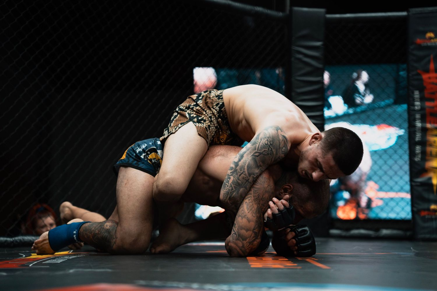 MMA-show-fight-night-action-shot-photography-birmingham