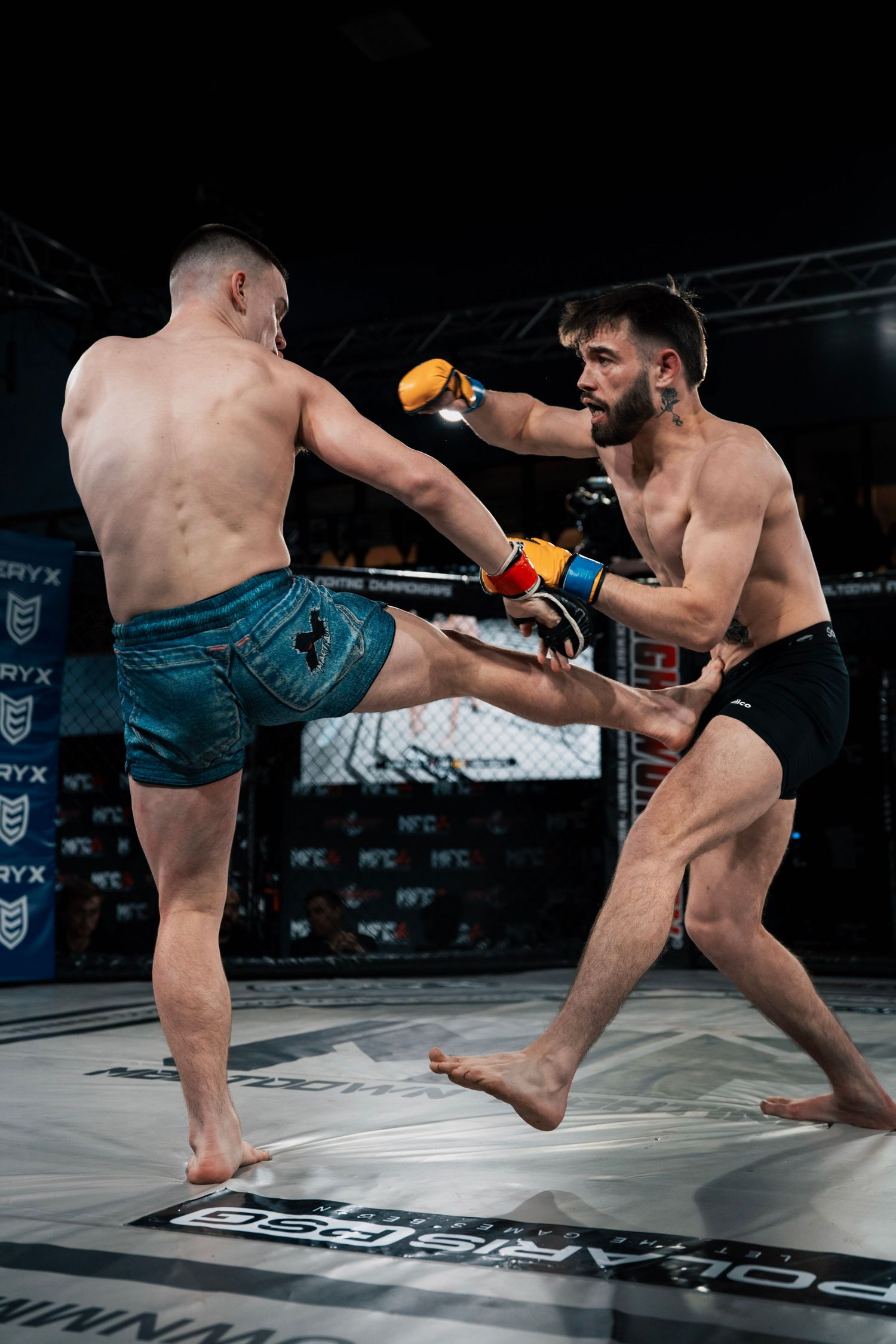 MMA-show-fight-night-action-shot-photography-birmingham
