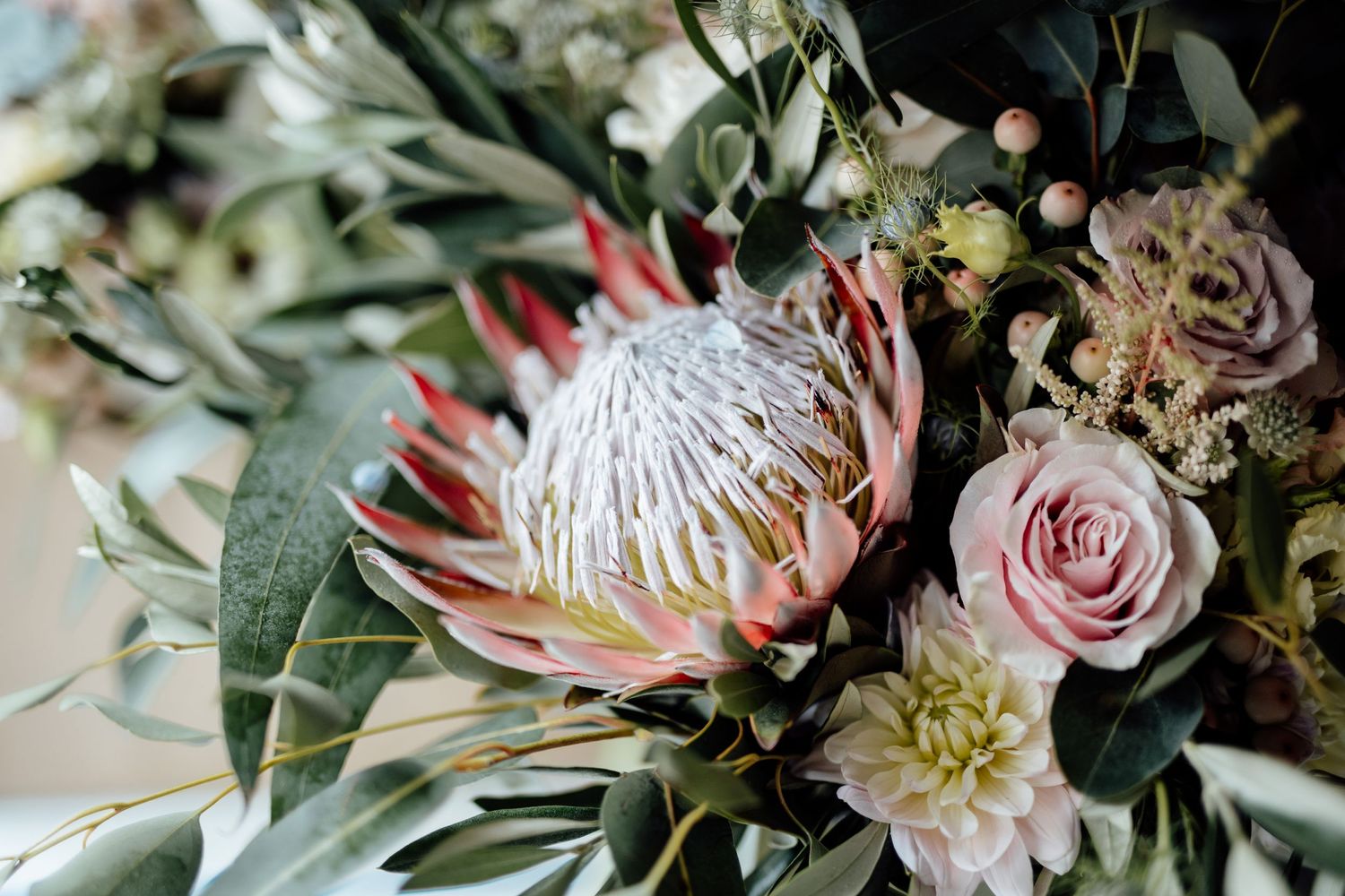 Beautiful wedding bouquet featuring protea flower, roses, and eucalyptus in soft pink tones.
