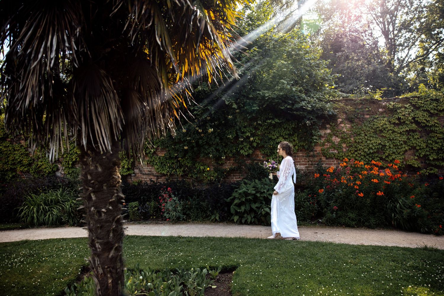Lush garden landscape with palm trees and vibrant foliage in natural sunlight.