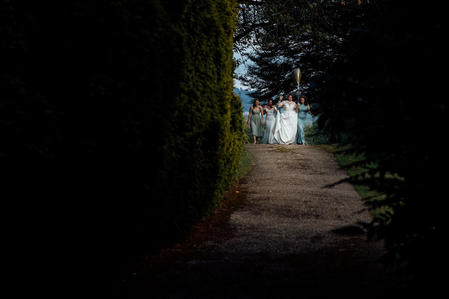 Dark wooded path through trees creating a mysterious tunnel effect.