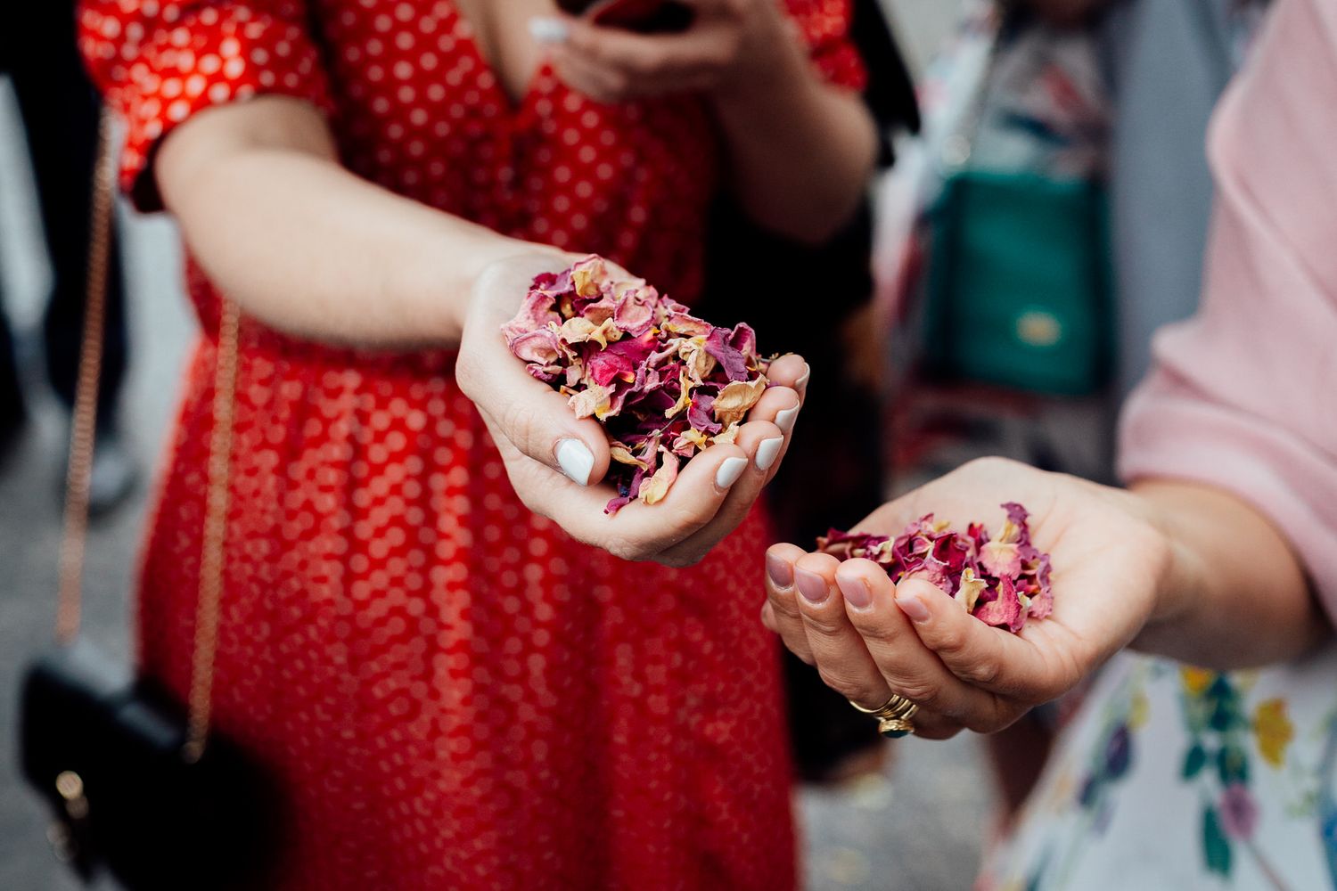 Hands holding scattered pink and red flower petals during a wedding celebration.