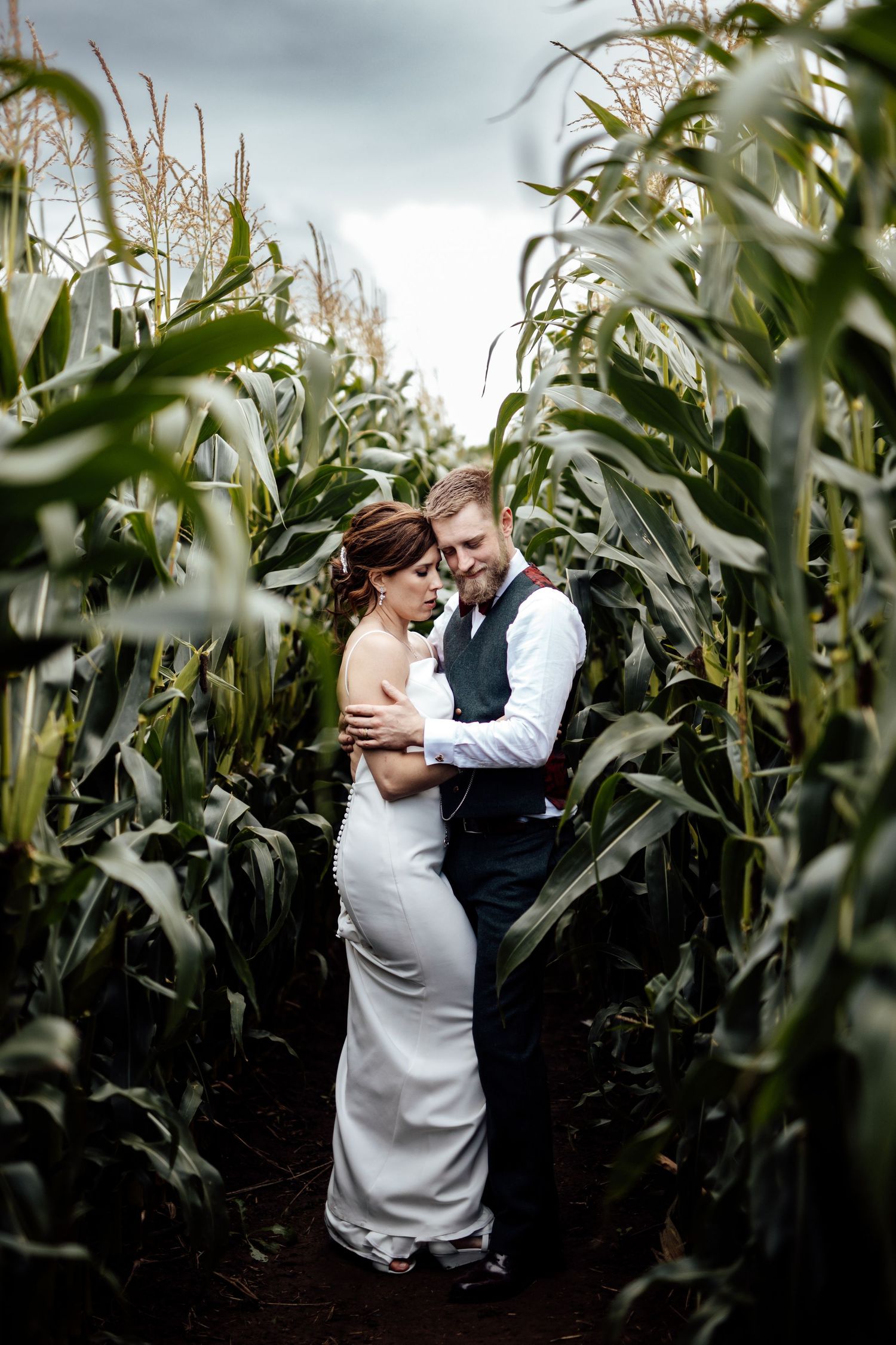 Intimate couple portraits in a tall cornfield during golden hour.