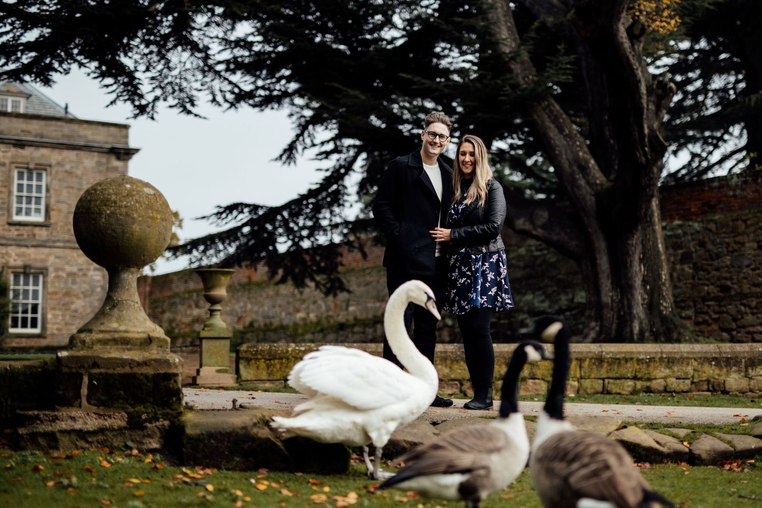 White swans grace the grounds of a stately manor house on a peaceful afternoon.