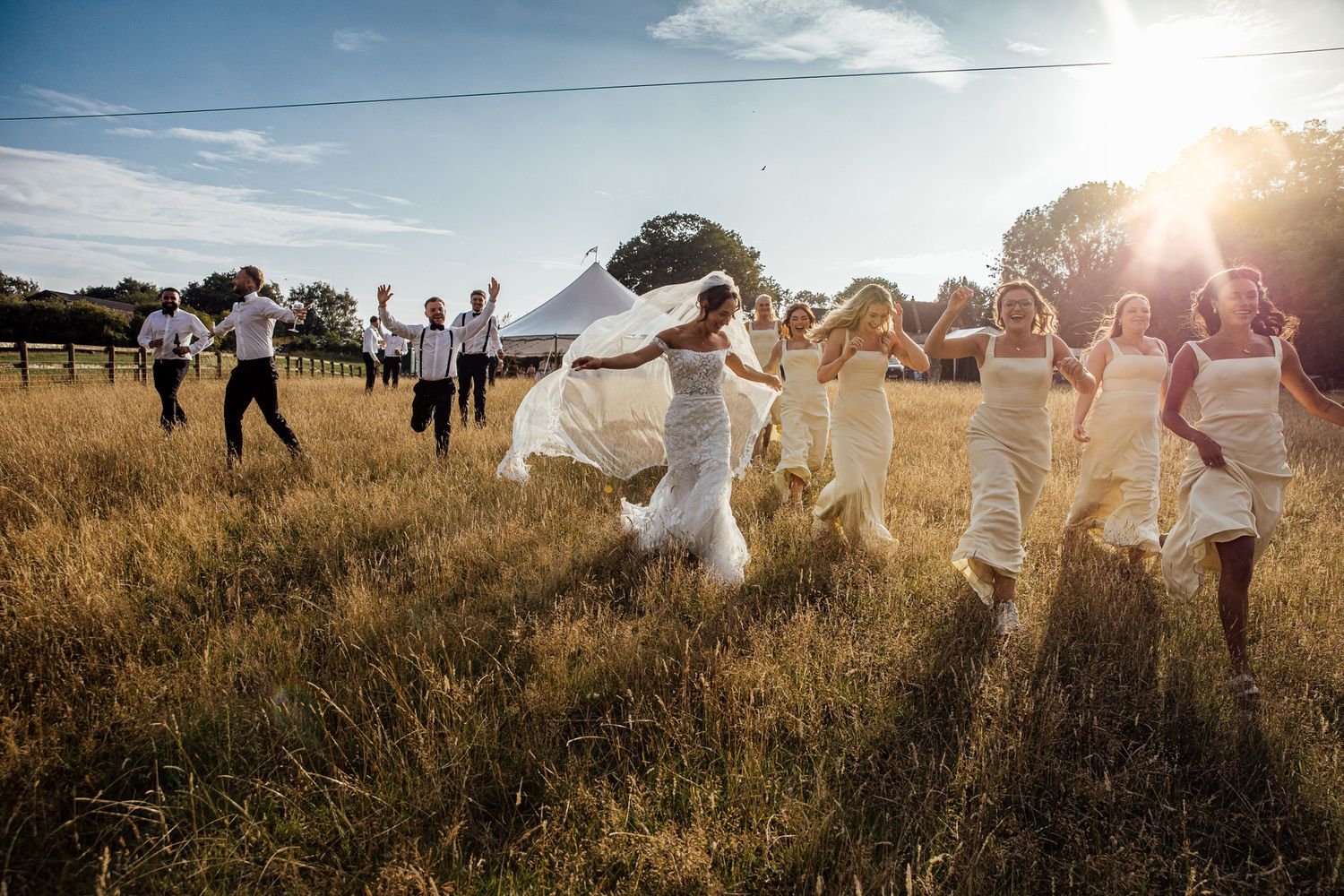 Wedding party walks through a sunlit field during golden hour celebrations.