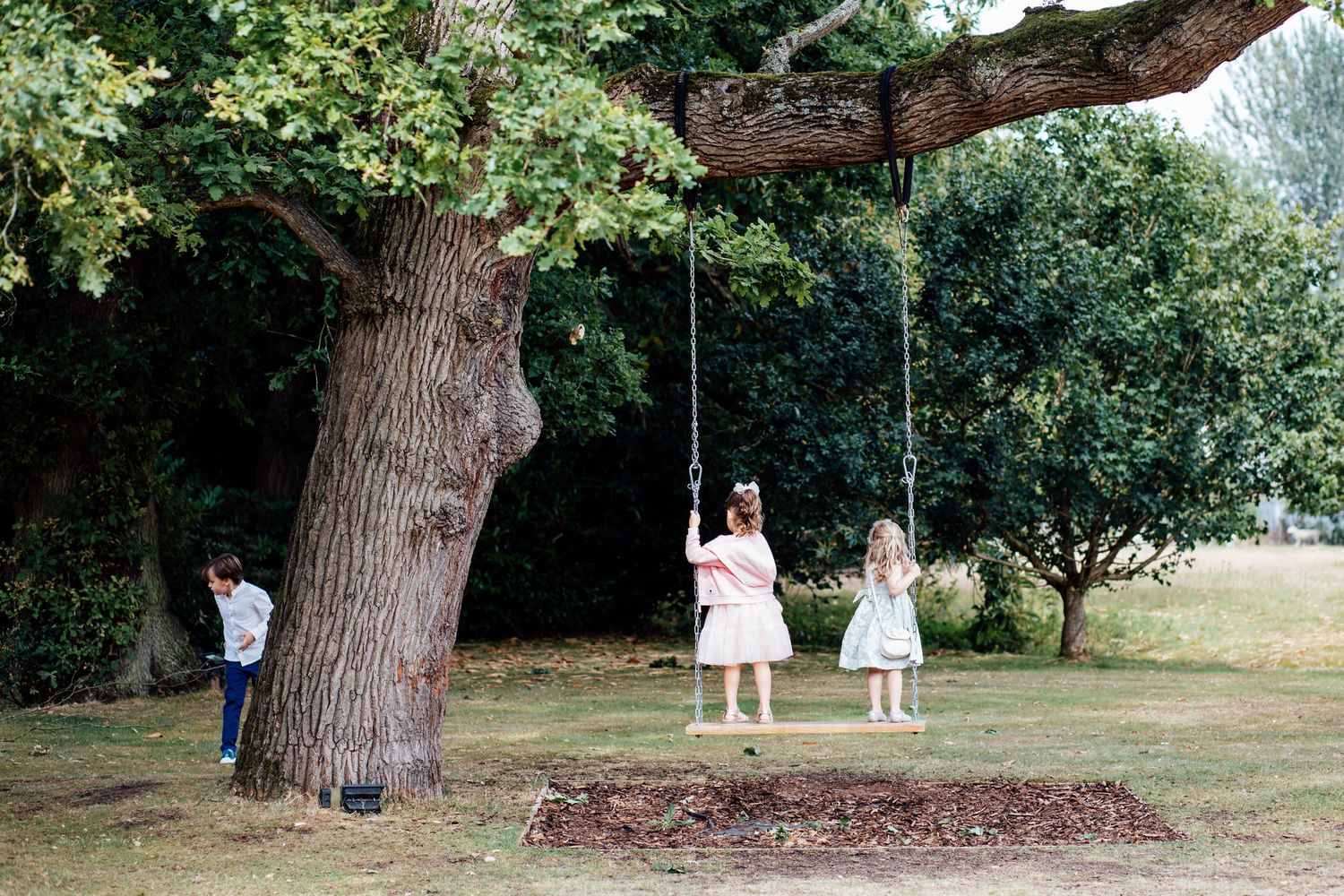 Large oak tree with hanging decorations in a serene outdoor wedding setting.