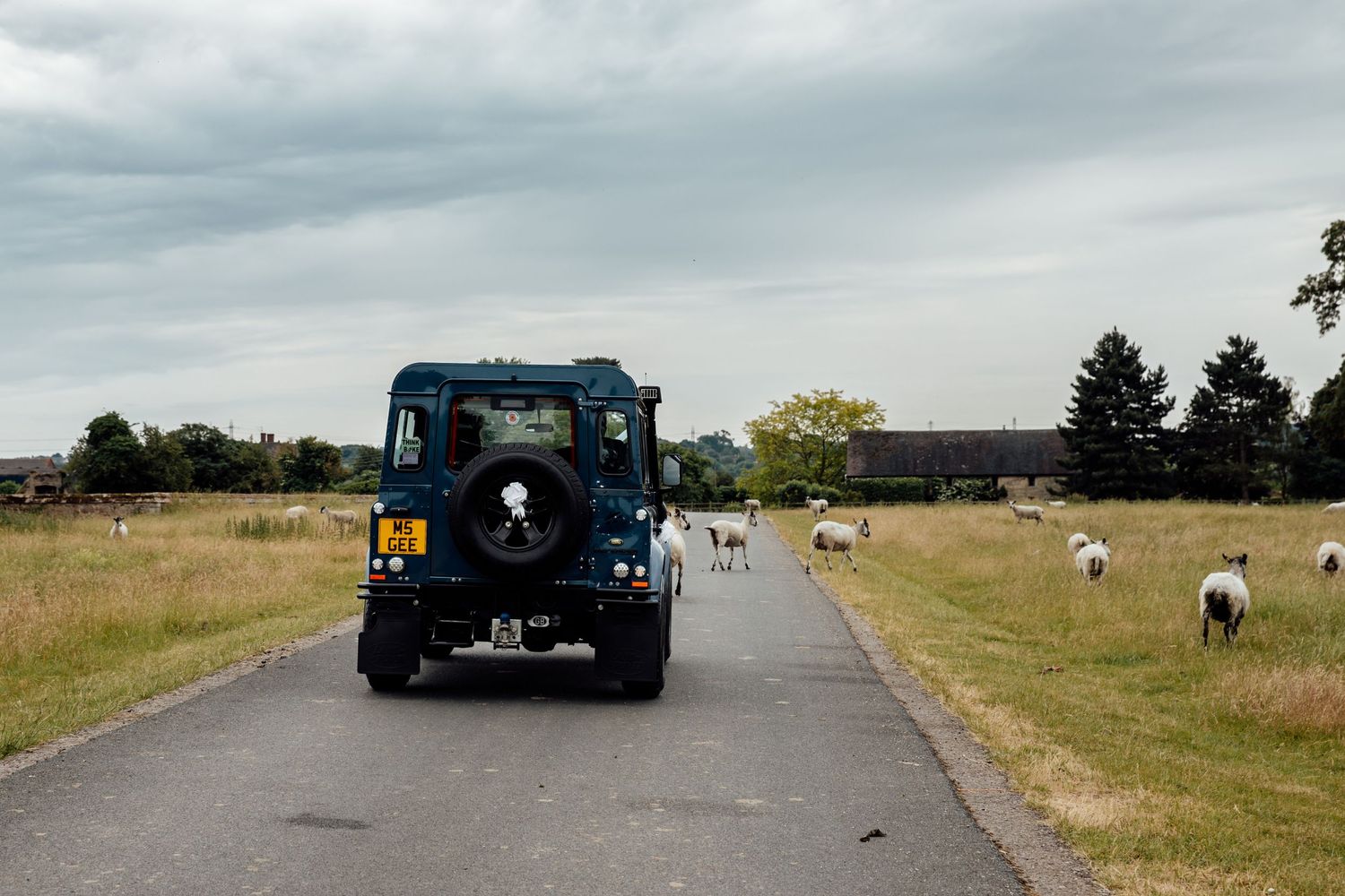 Blue Land Rover driving down a country road with sheep grazing in adjacent fields.