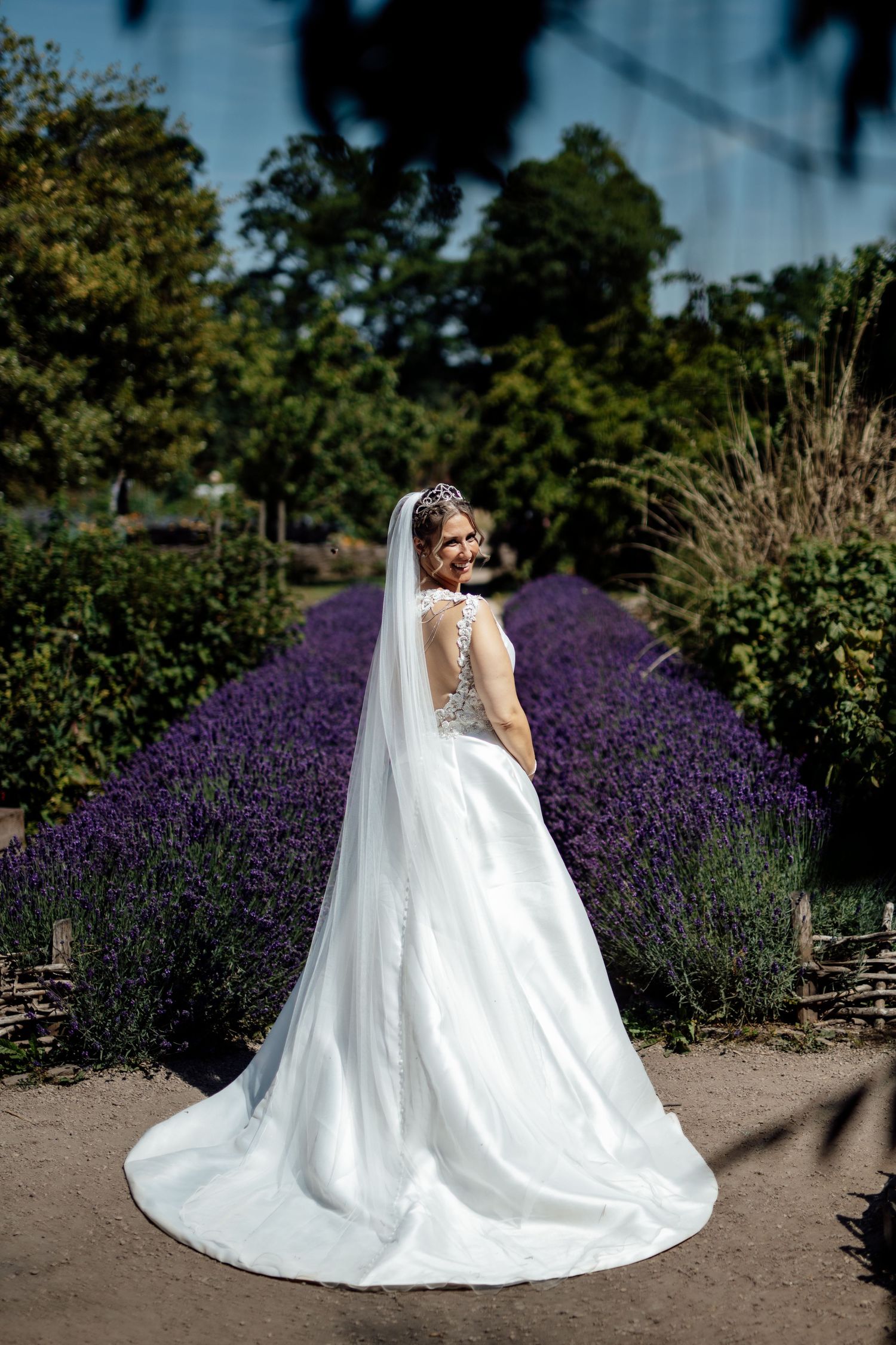 Flowing white wedding dress and veil against a backdrop of blooming purple lavender fields.