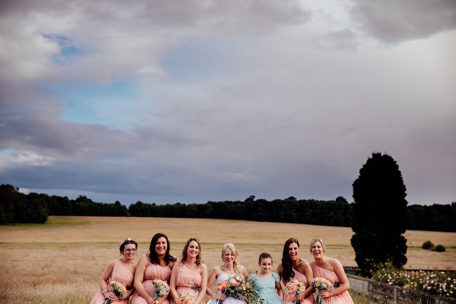 Wedding party poses together in field under dramatic cloudy sky.
