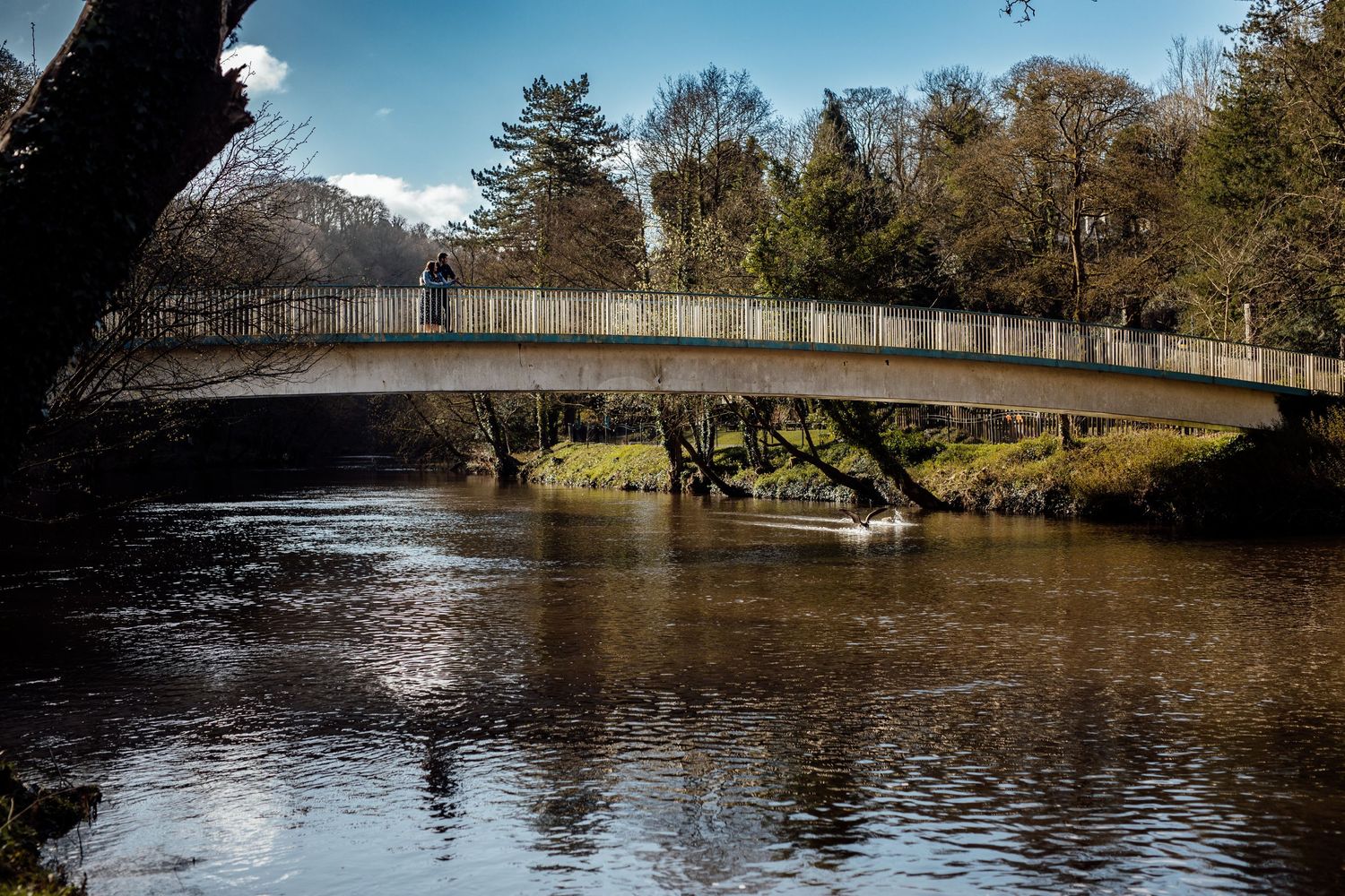 A scenic park landscape with a bridge crossing over calm waters and swans swimming below.