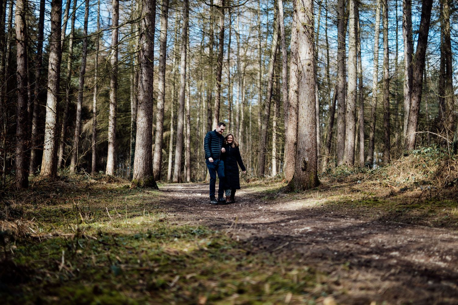 Scenic forest path with tall pine trees creating a natural tunnel effect.