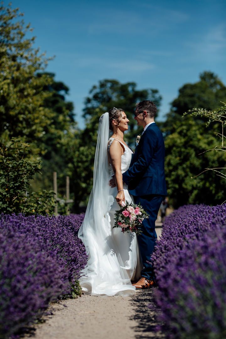 Wedding couple poses in beautiful lavender field under bright blue summer sky.