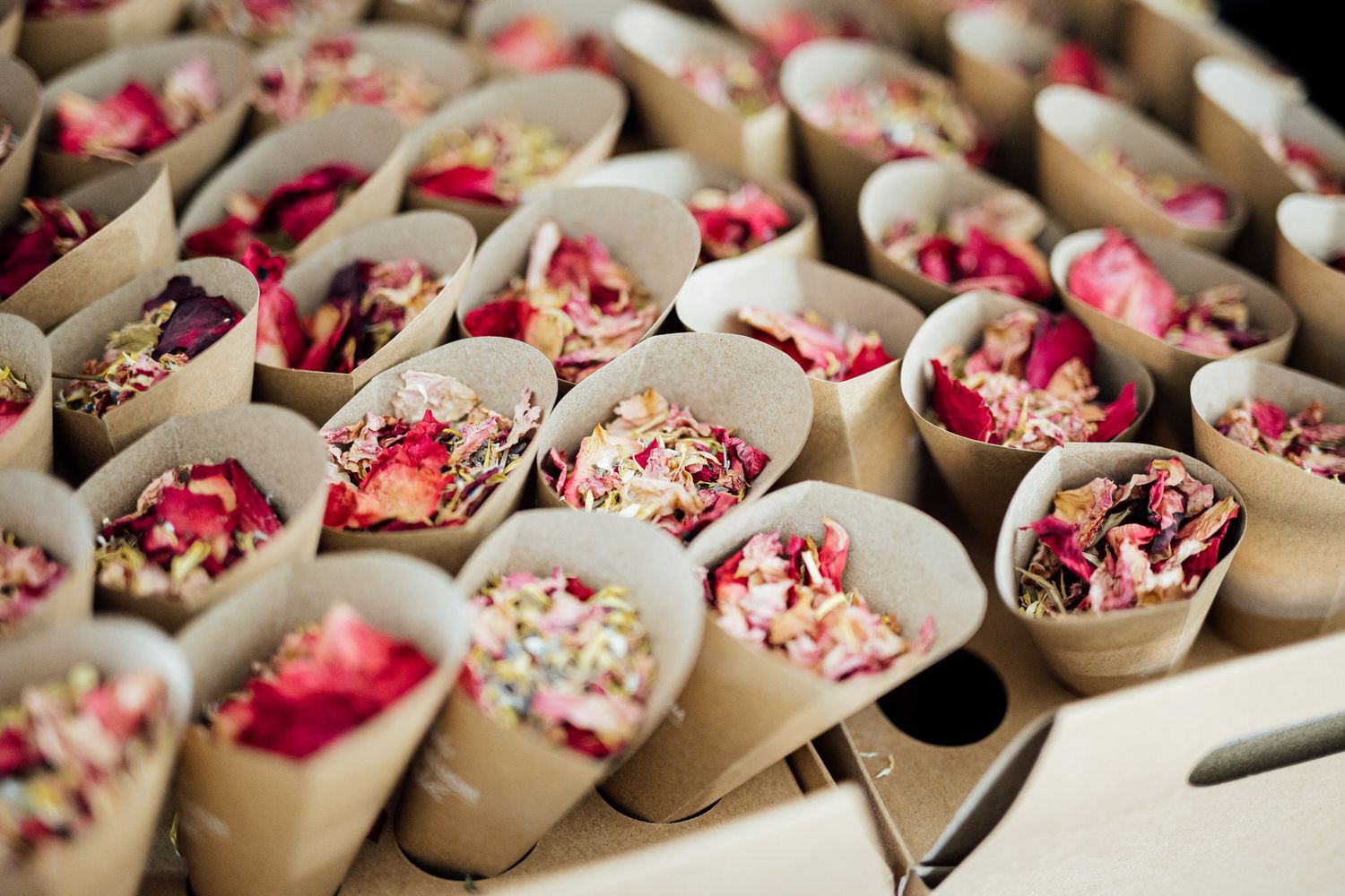 Close-up of pink rose petals and confetti arranged in paper cones for wedding toss.