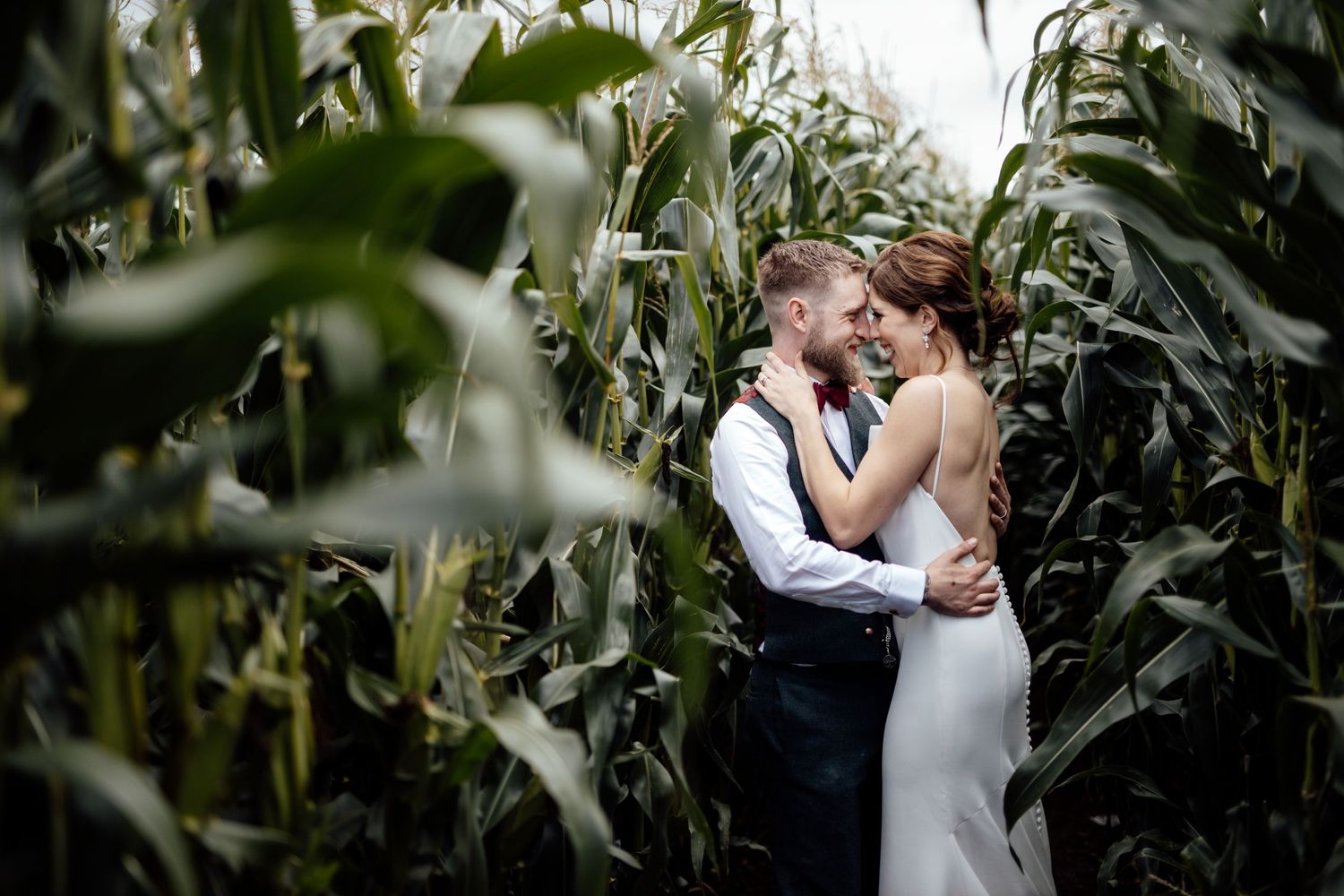 Romantic couple embraces among tall corn stalks in a field.