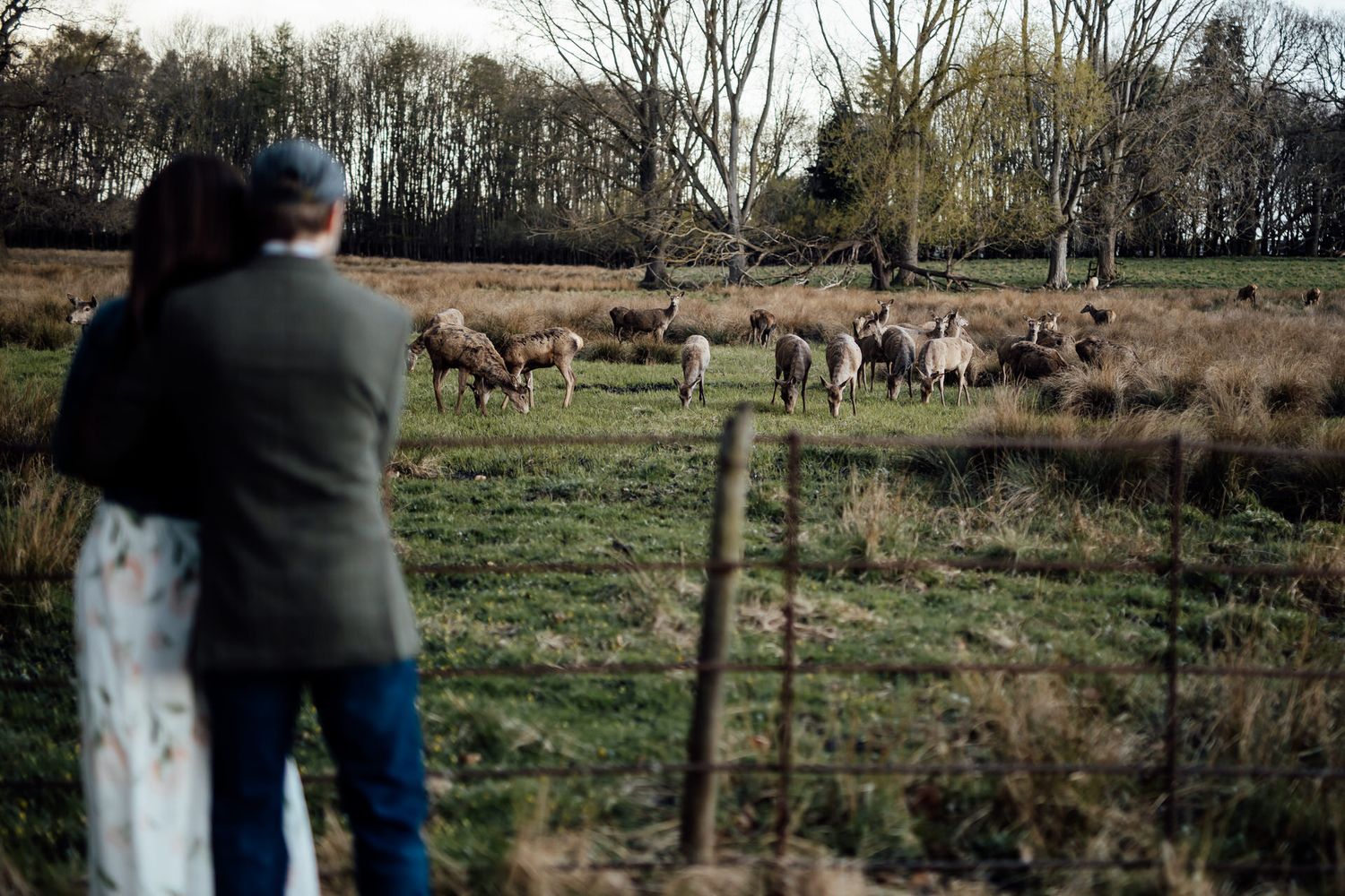 A couple embraces in a pastoral field with grazing animals in the background.