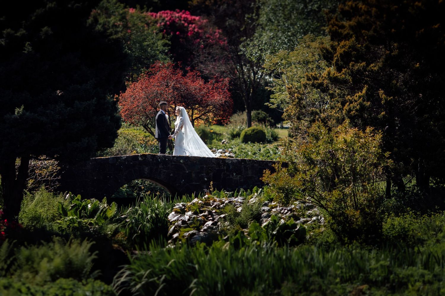 Scenic garden landscape with blooming flowers and greenery.
