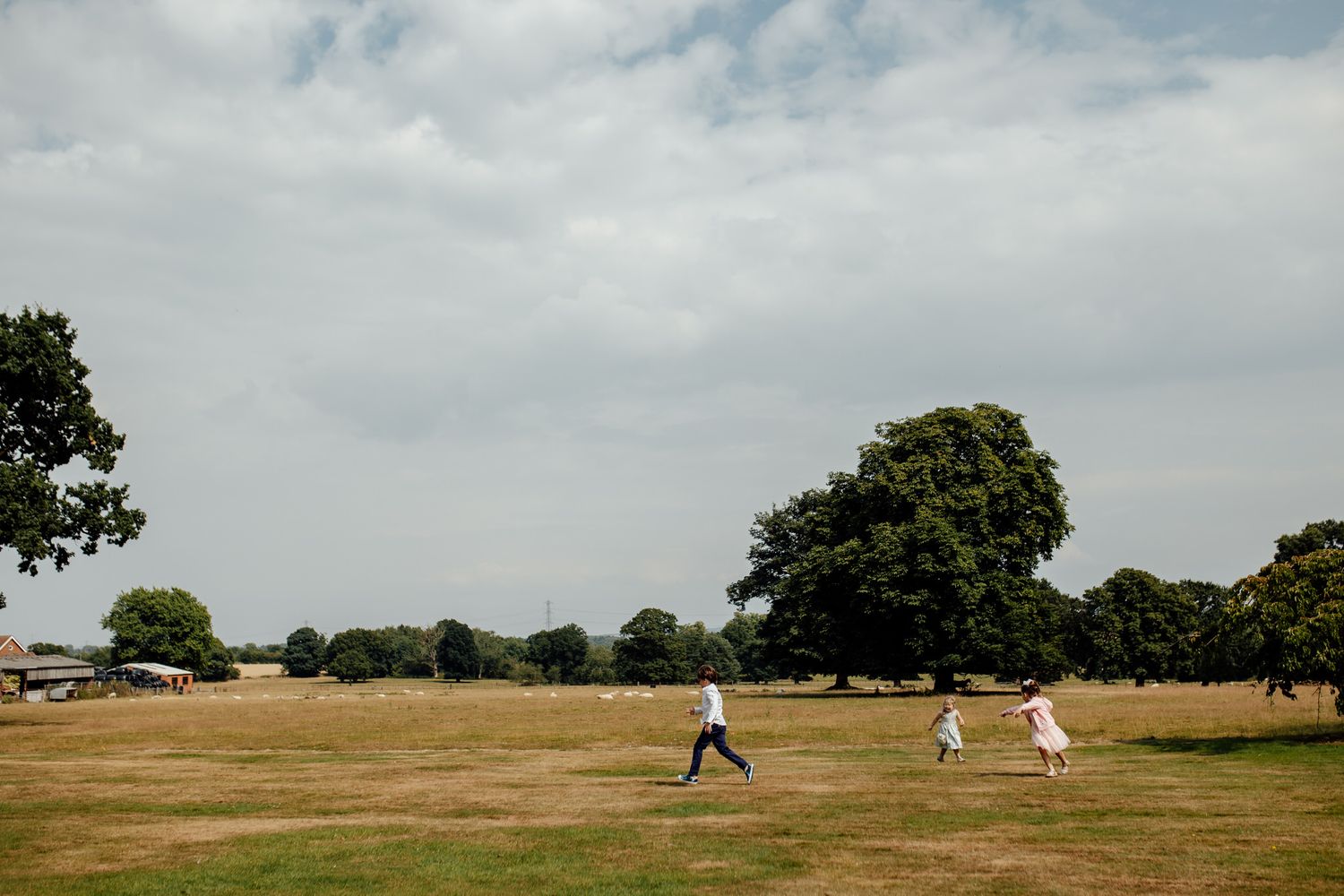 Rolling green hills and scattered trees under cloudy skies at an outdoor venue.