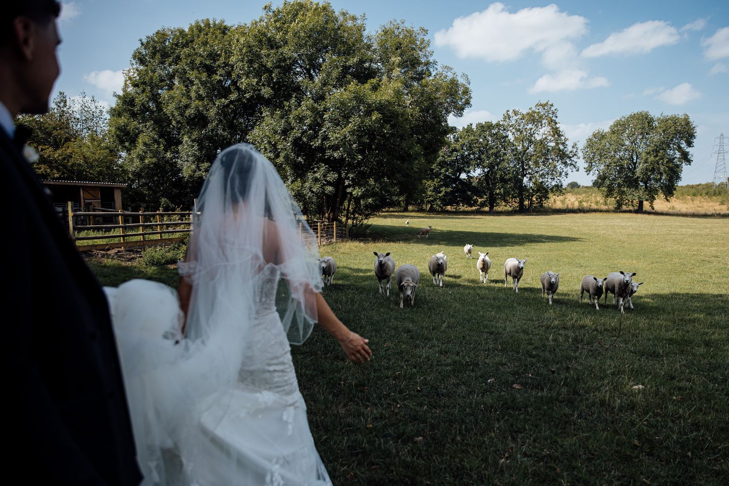 Scenic outdoor wedding venue with white tent and green landscape.