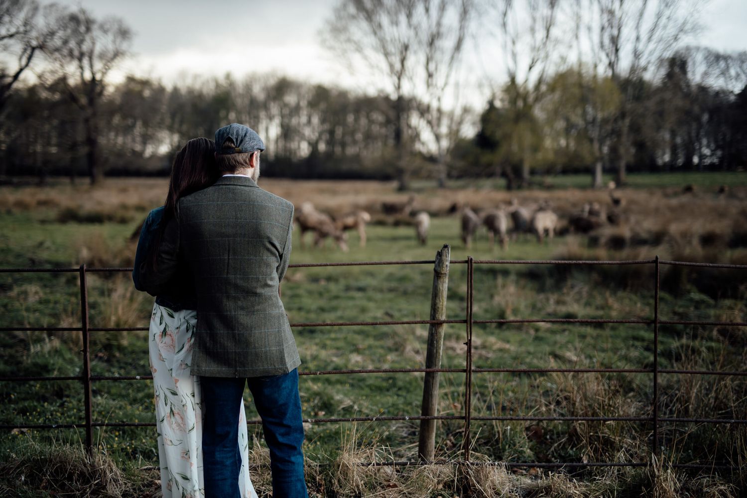 A photographer takes pictures of deer grazing in a field through a wire fence at dusk.