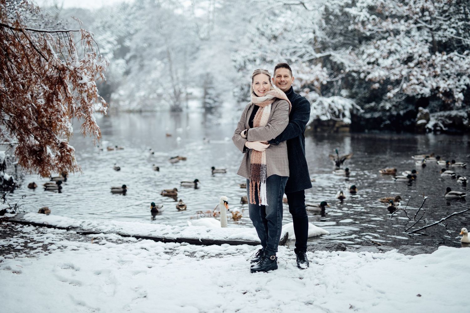A winter engagement session by a lake with ducks swimming in the background.