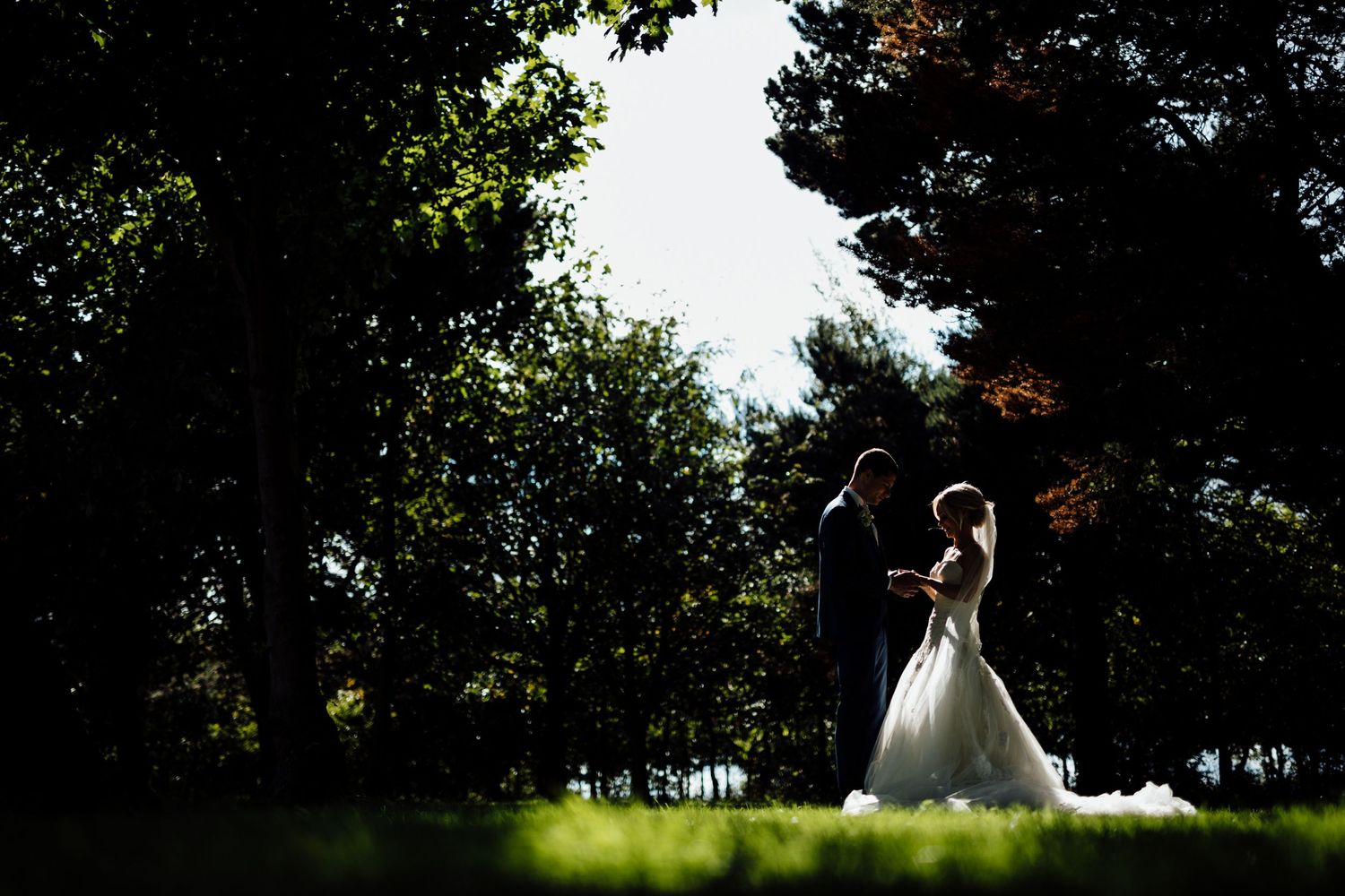 A silhouetted couple standing in a dramatic backlit garden setting.