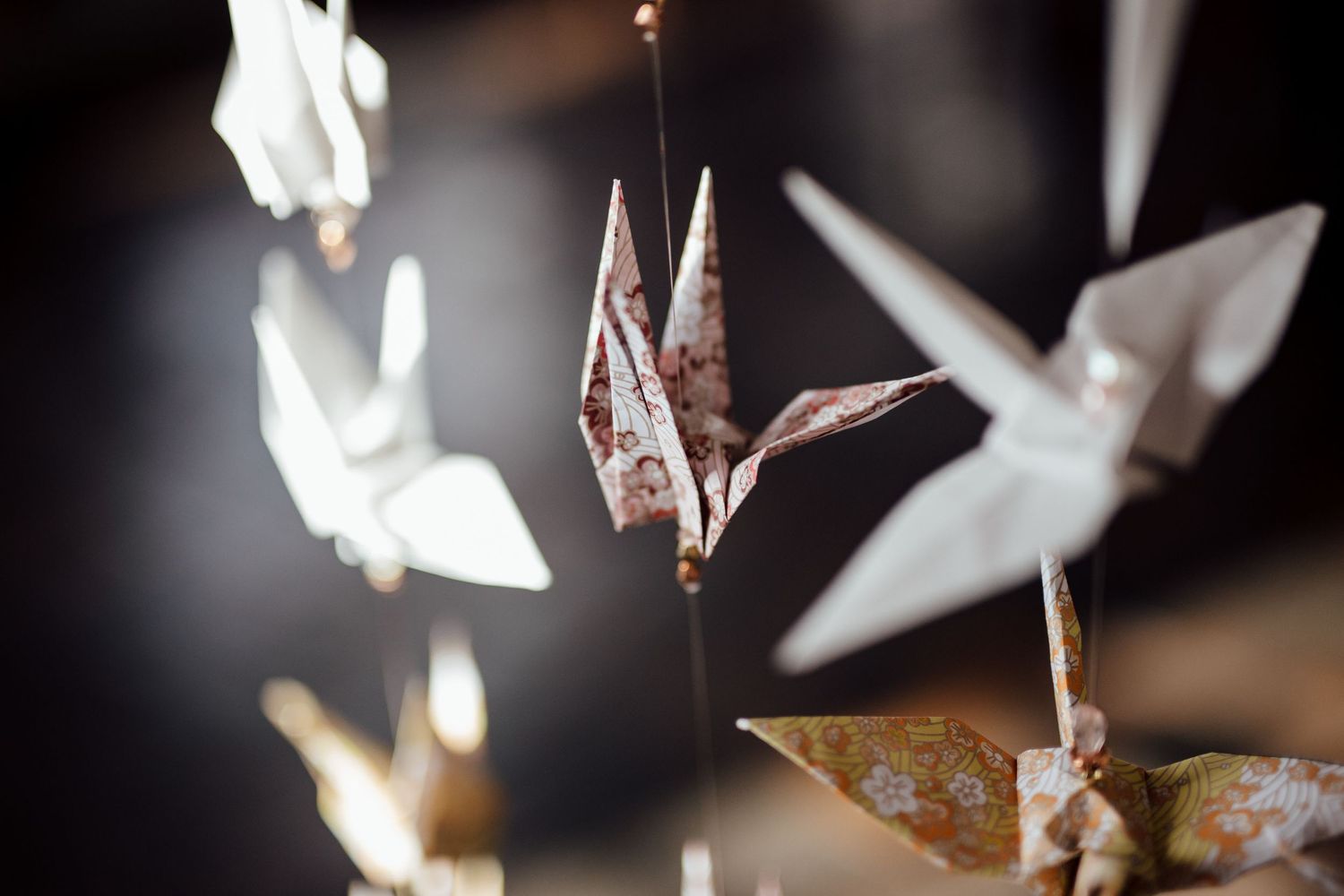 Artistic close-up of origami paper cranes with soft lighting.