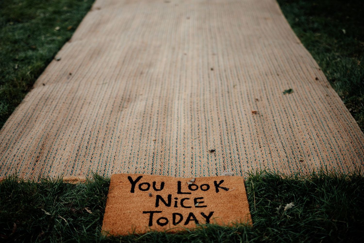 Wooden planks with text reading 'You Look Nice Today' written on them.