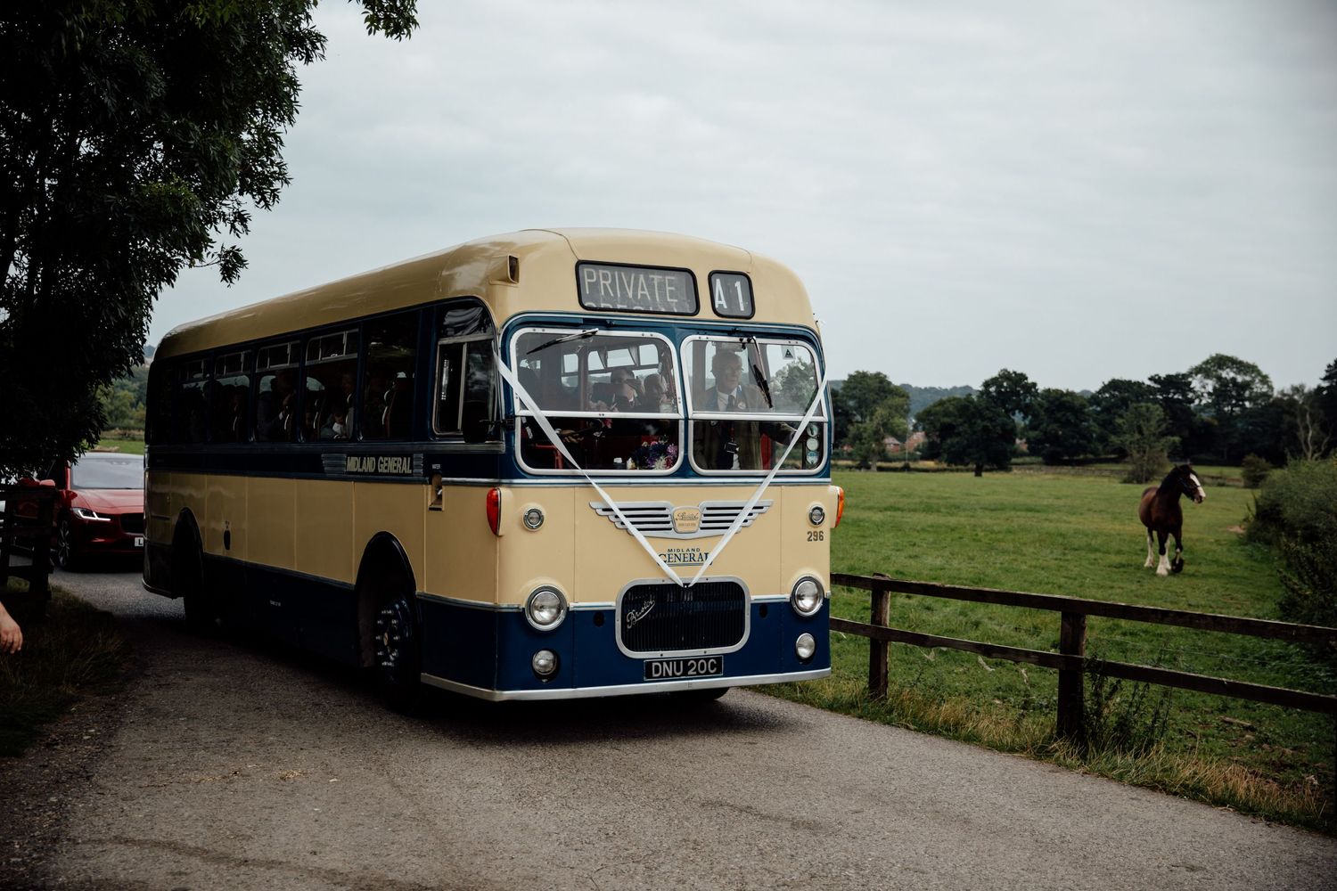 A collection of vintage buses parked on grass with trees in the background.