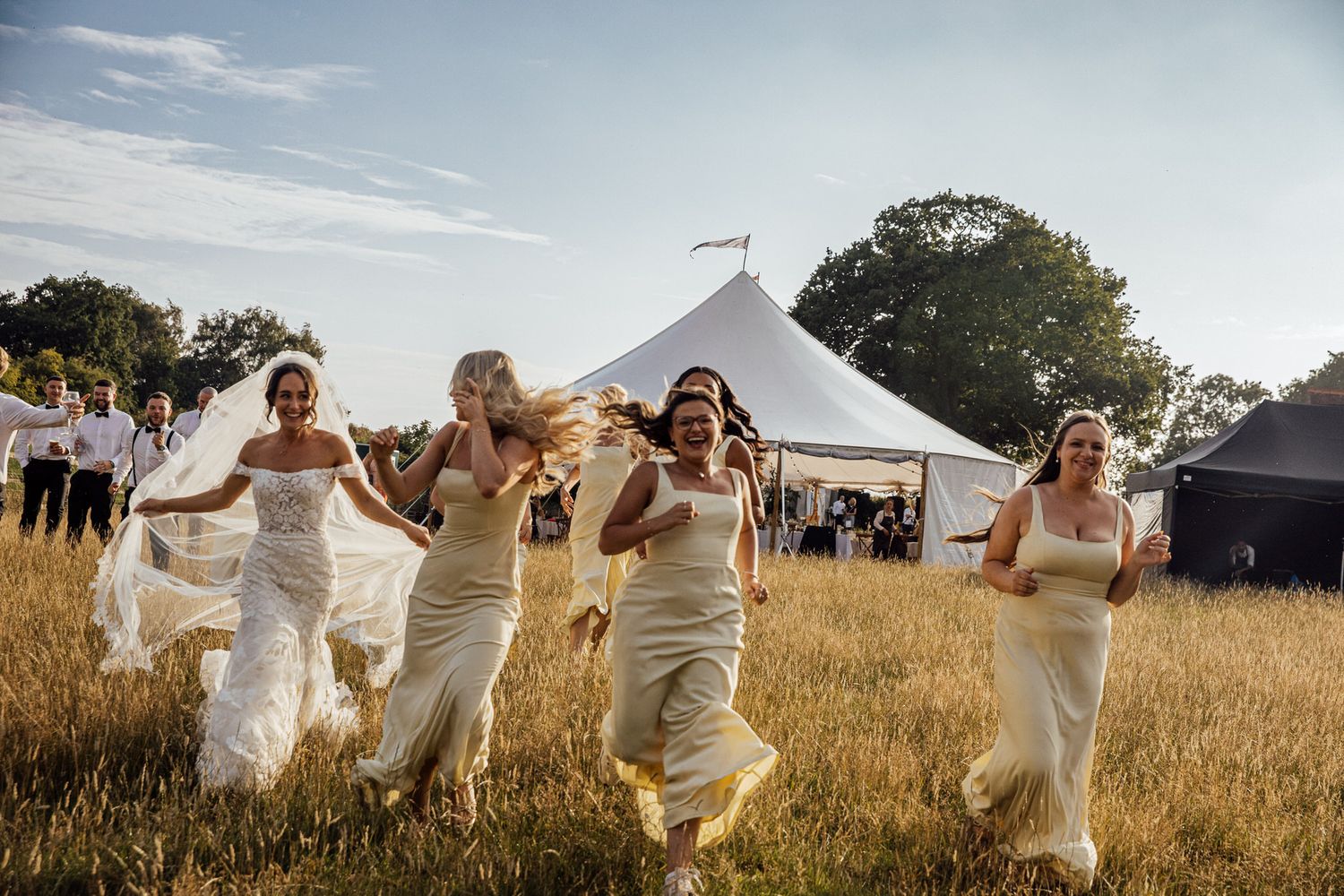 Wedding party runs joyfully through a golden wheat field at sunset.