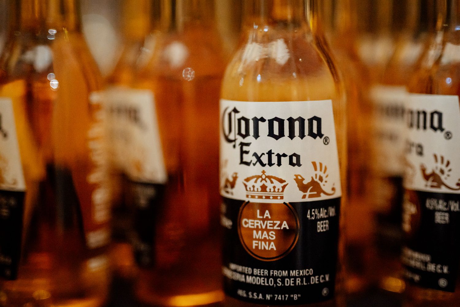 Row of Corona Extra beer bottles lined up on a wooden surface with warm lighting.