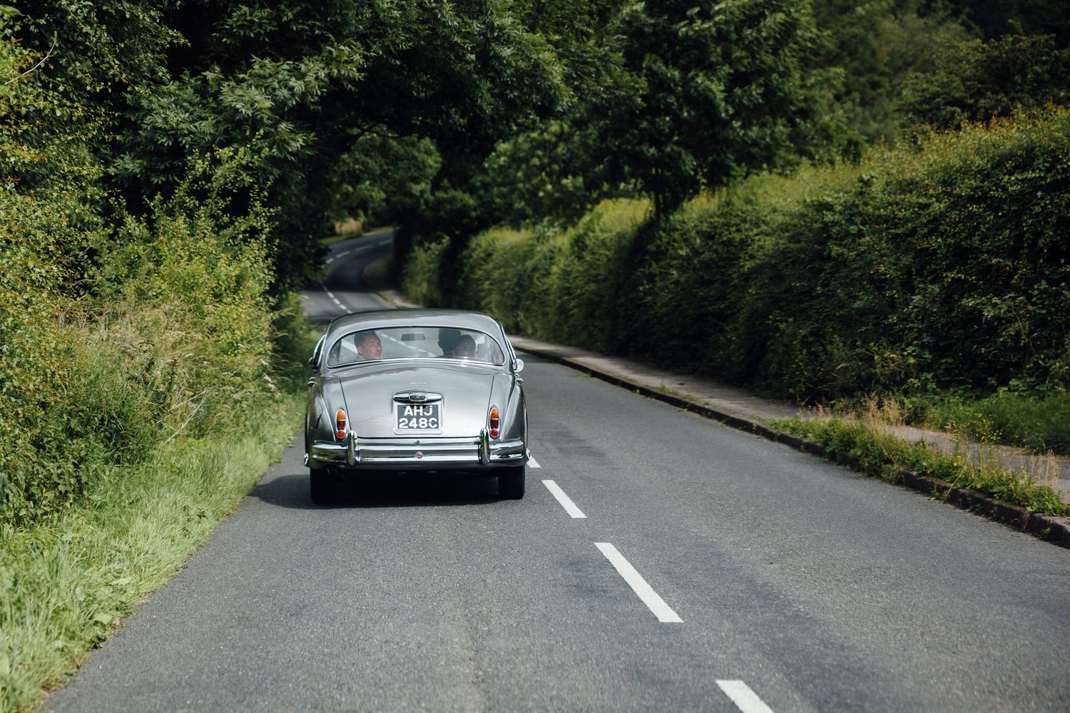Classic vintage cars parked along a winding country road surrounded by greenery.