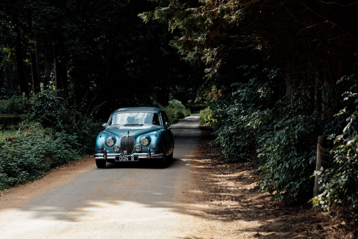 Vintage cars parked along tree-lined driveway creating romantic wedding atmosphere.