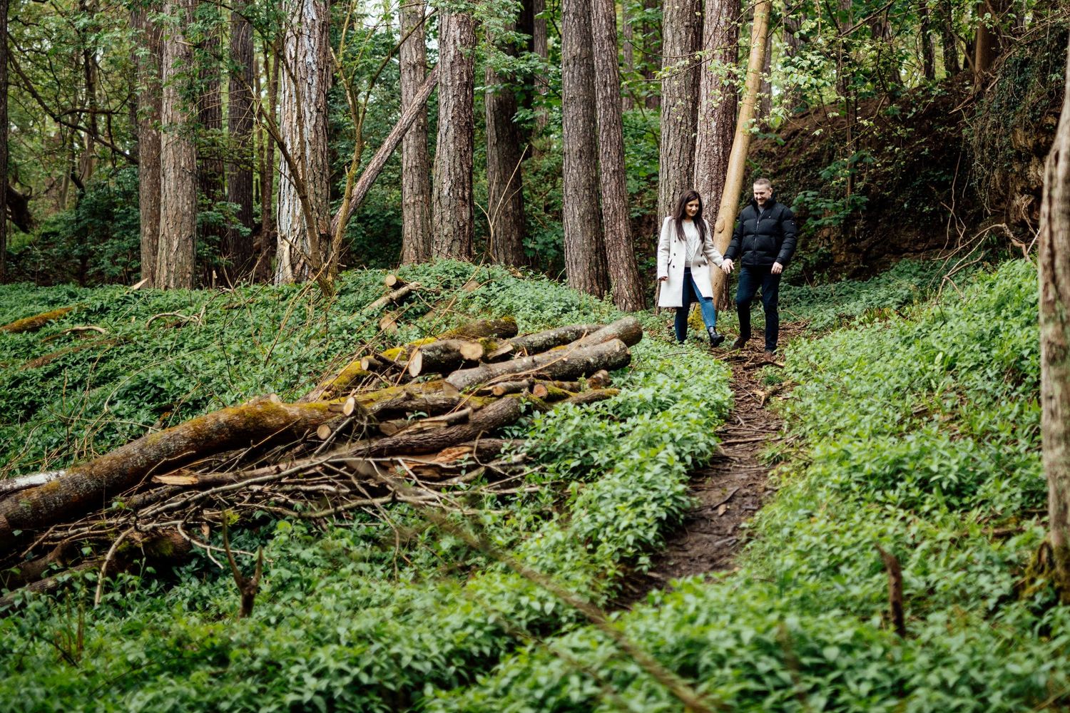 A scenic forest path winds through tall trees and lush green undergrowth.