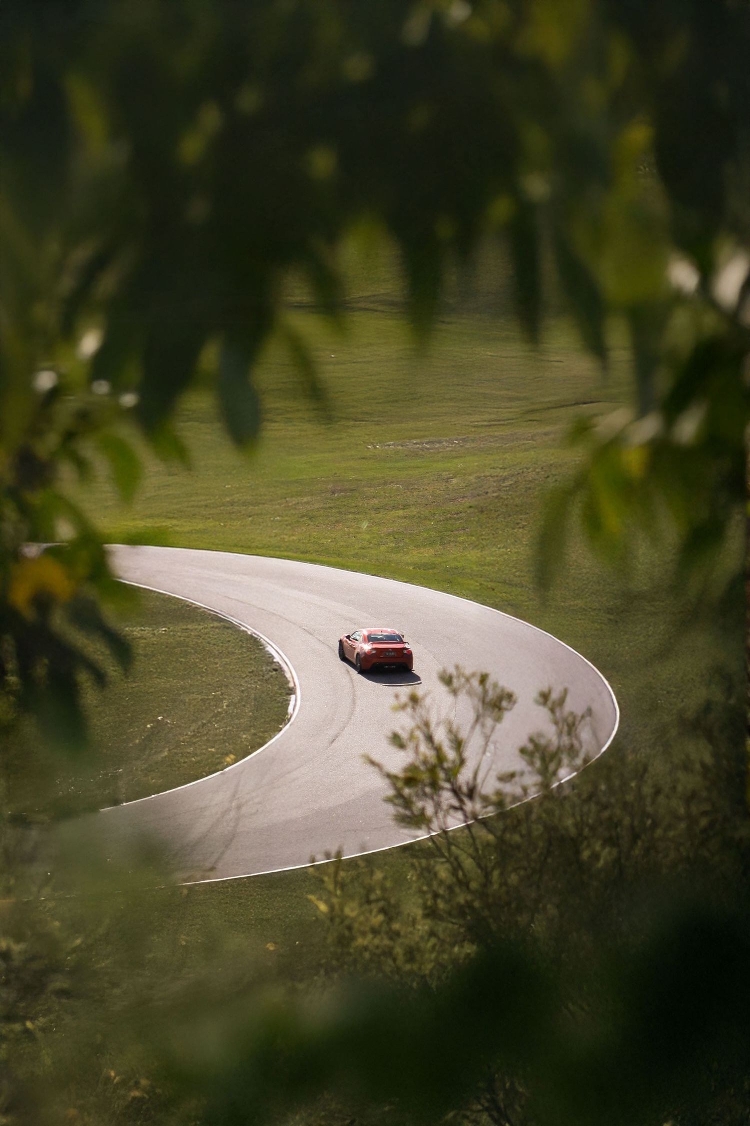 Rally car navigates curved mountain road framed by green foliage.