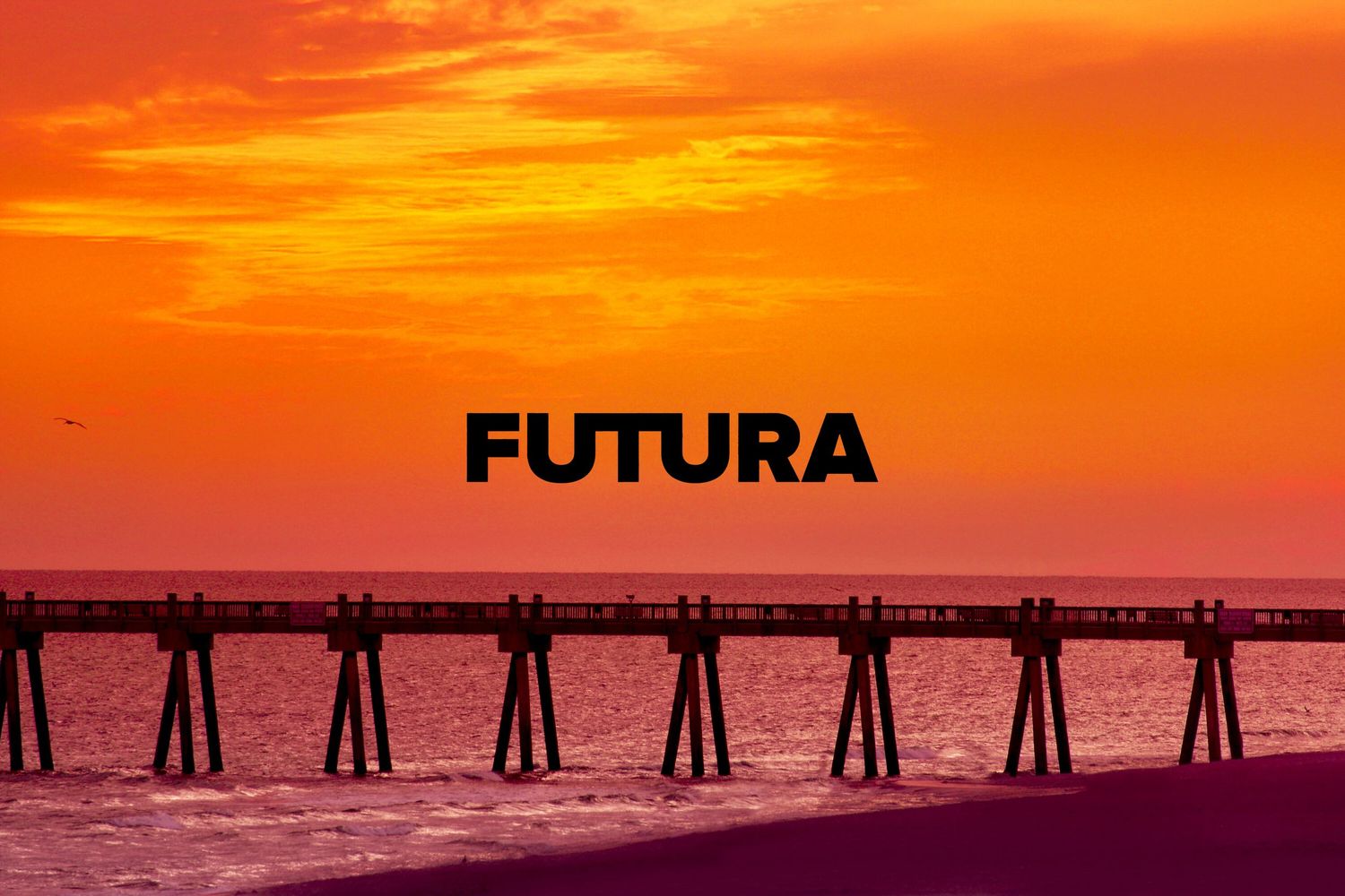 Futura Science  - article