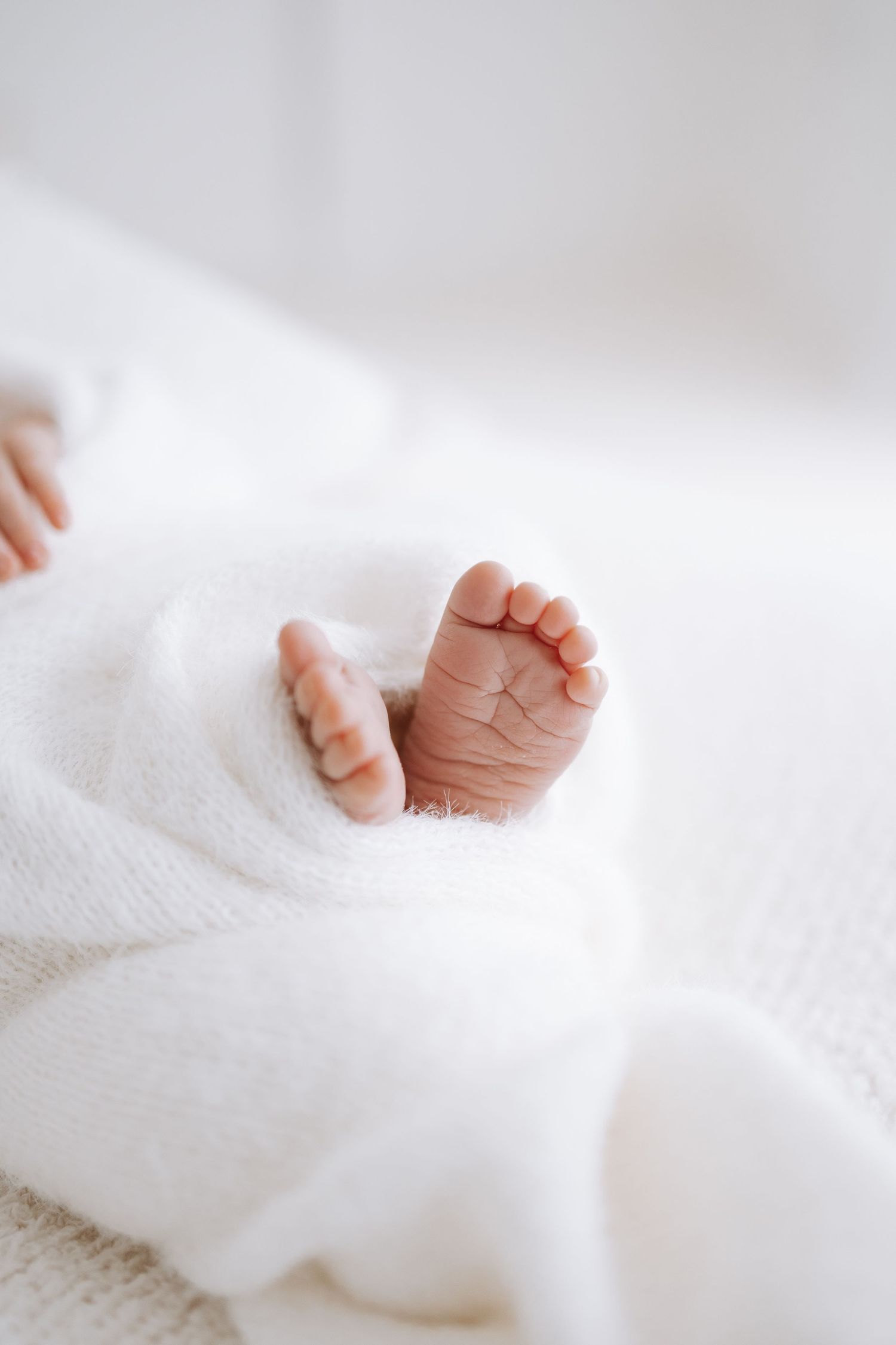 Close-up view of tiny baby feet nestled in soft white blankets, creating a tender newborn photography scene.