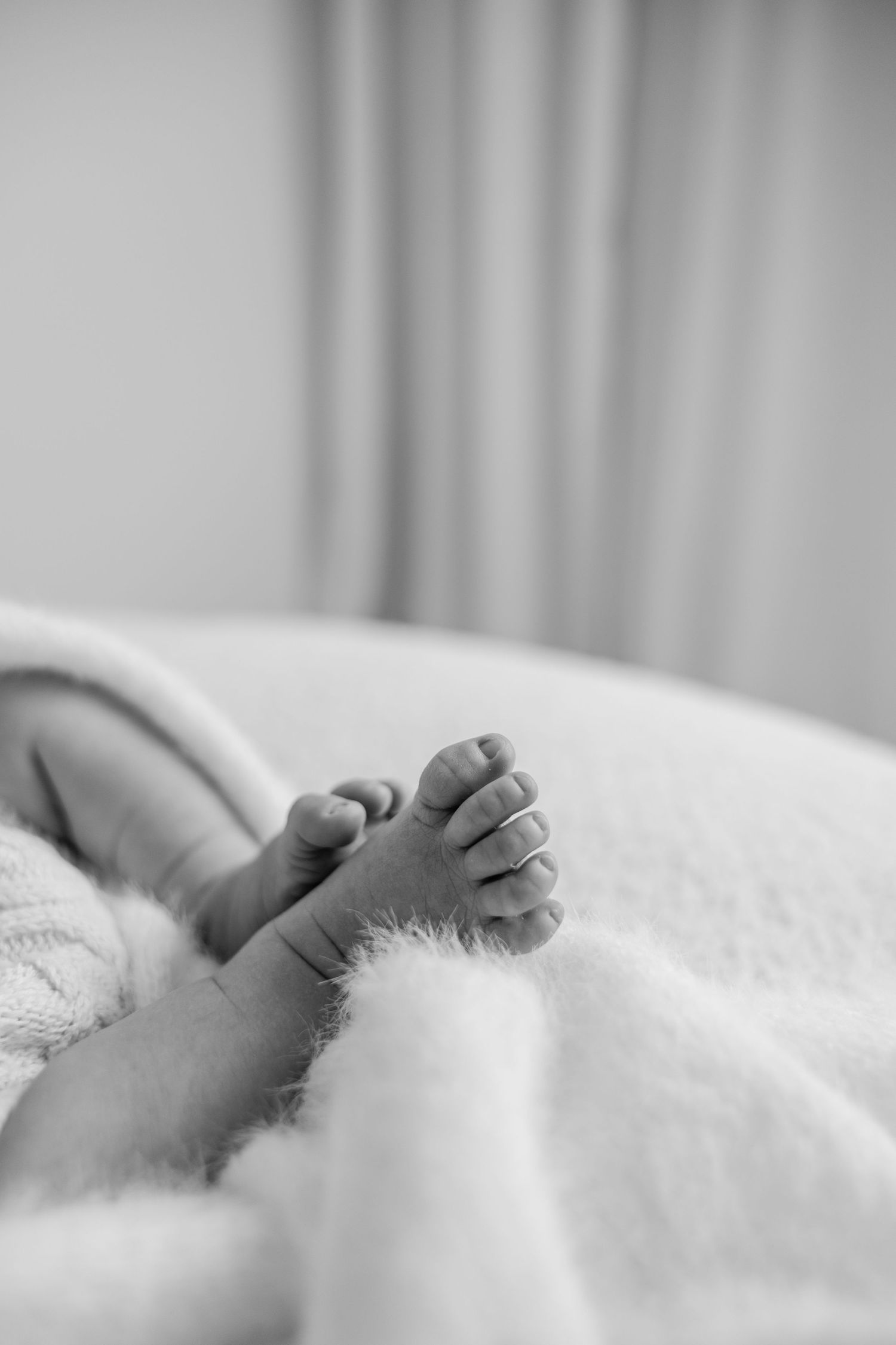 Black and white close-up of tiny baby feet nestled in soft white blankets showing delicate newborn details.