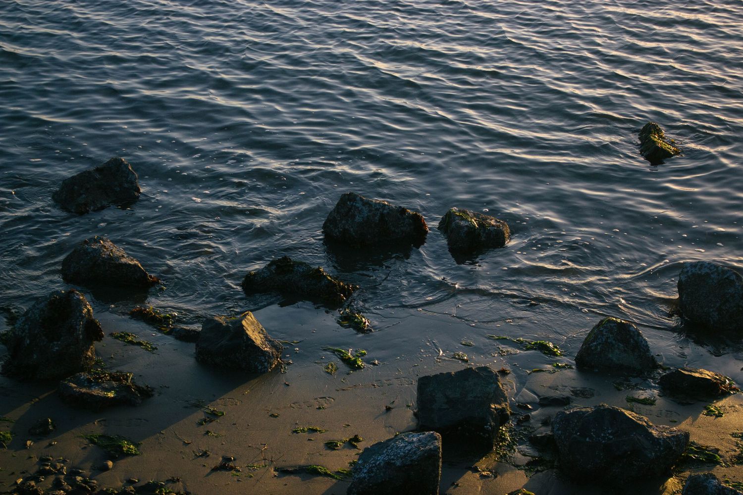 Dark rocks scattered along the shoreline at sunset with gentle waves lapping against the rocky beach.