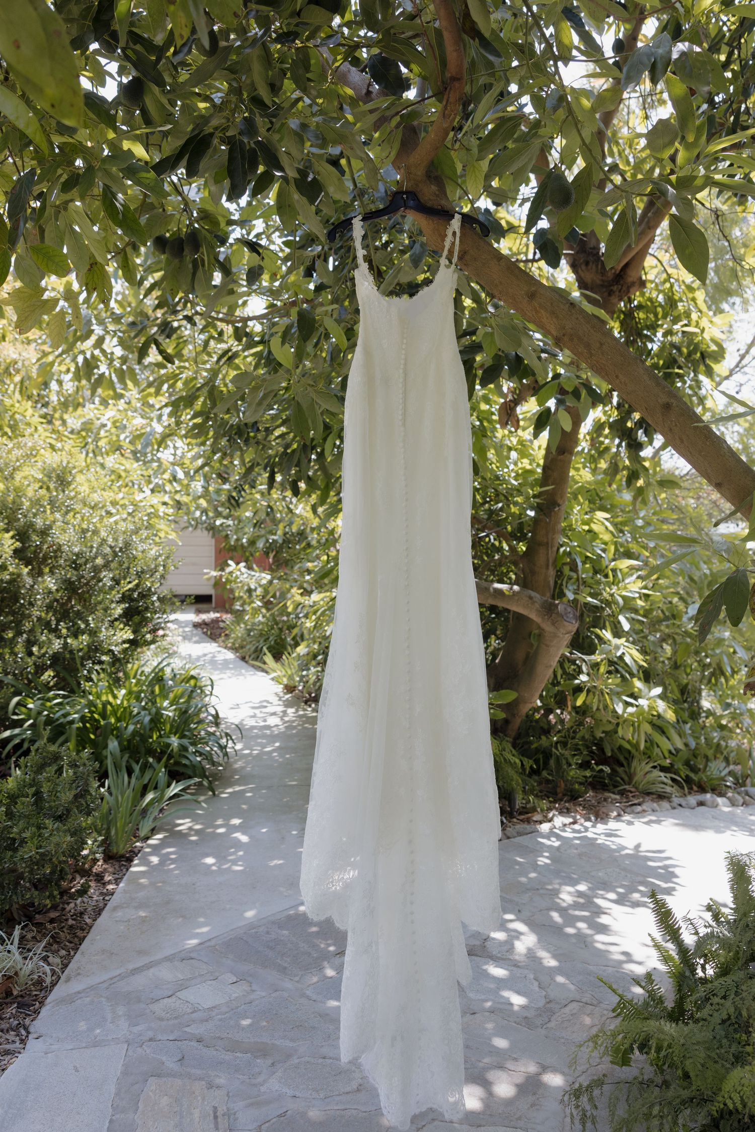 White wedding dress hanging from a tree in a lush garden setting on a stone pathway.