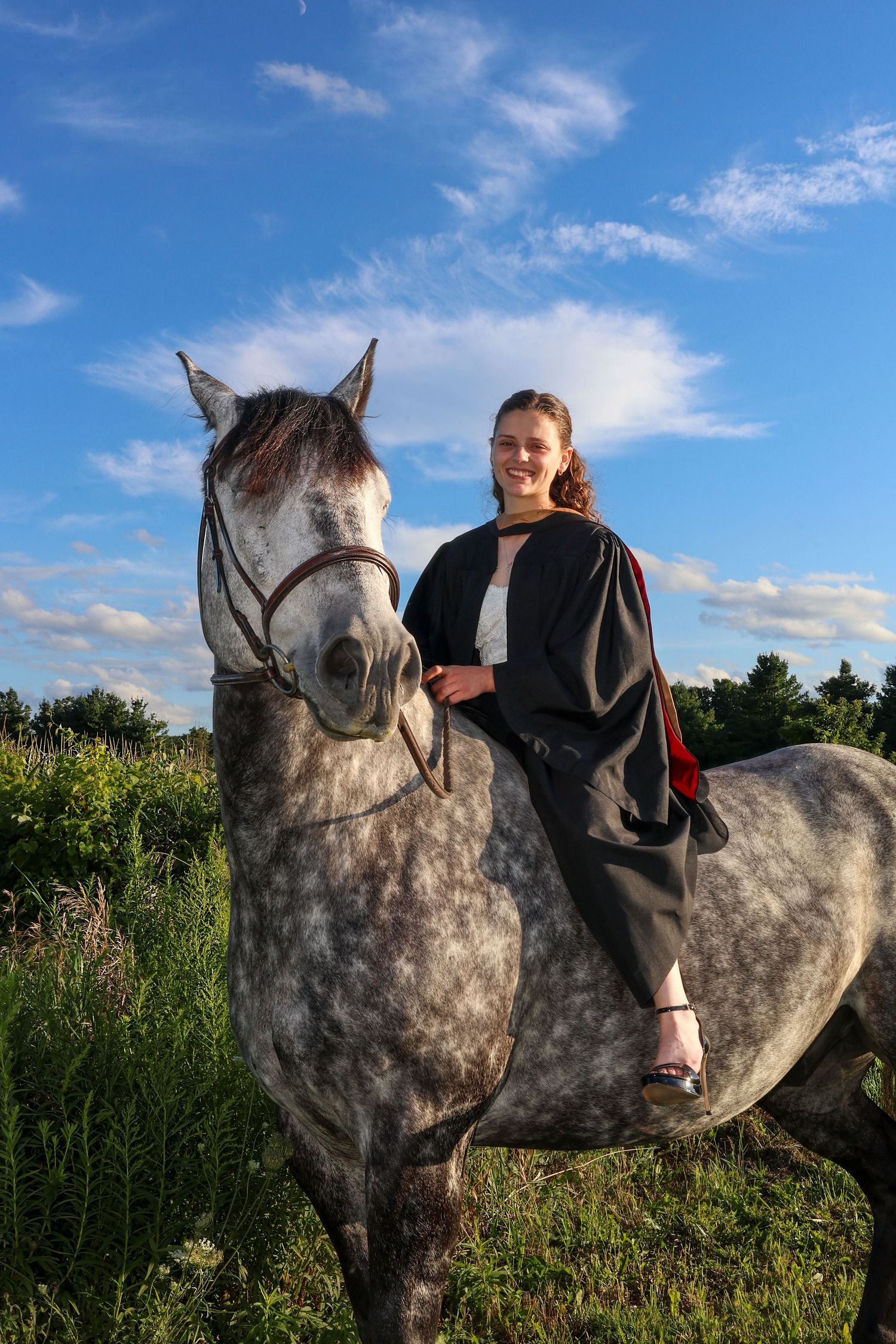 Girl on a horse in sunlight