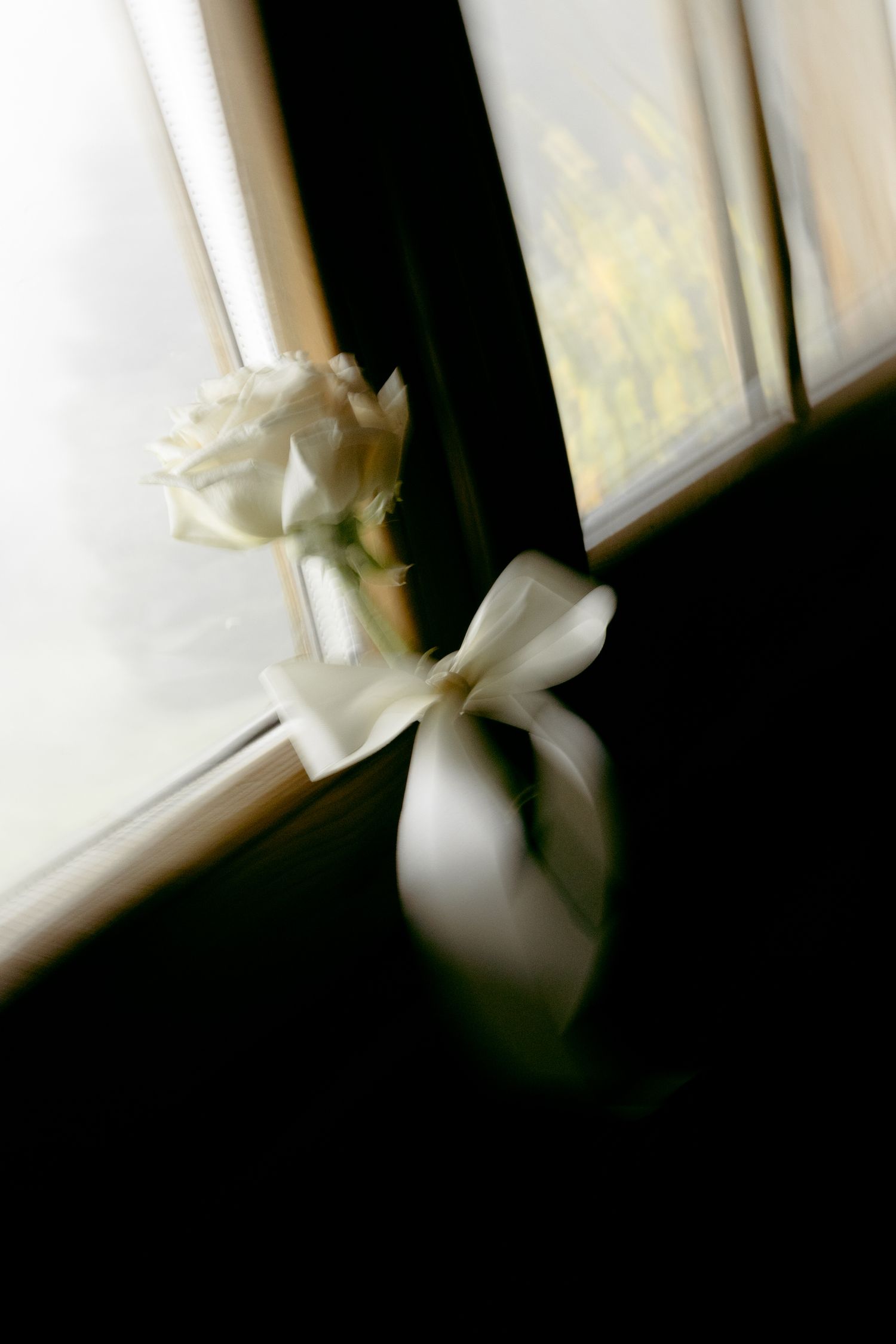 Single white rose with ribbon tied to window frame in soft focus.