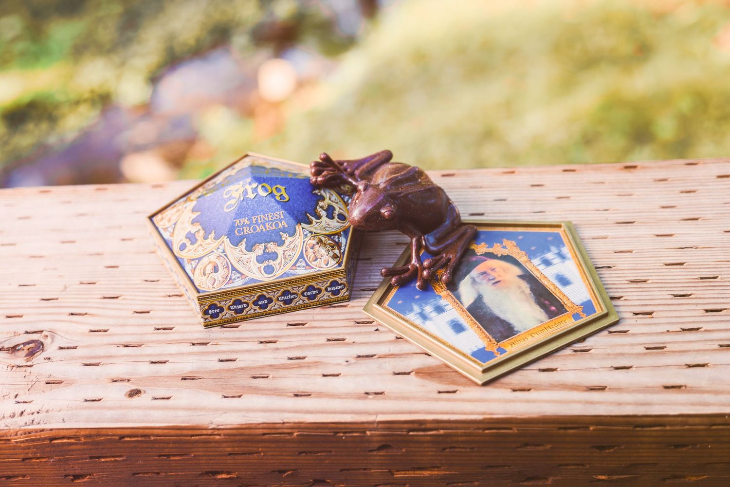 Harry Potter Chocolate Frog box open with chocolate frog and wizard card on wooden surface.