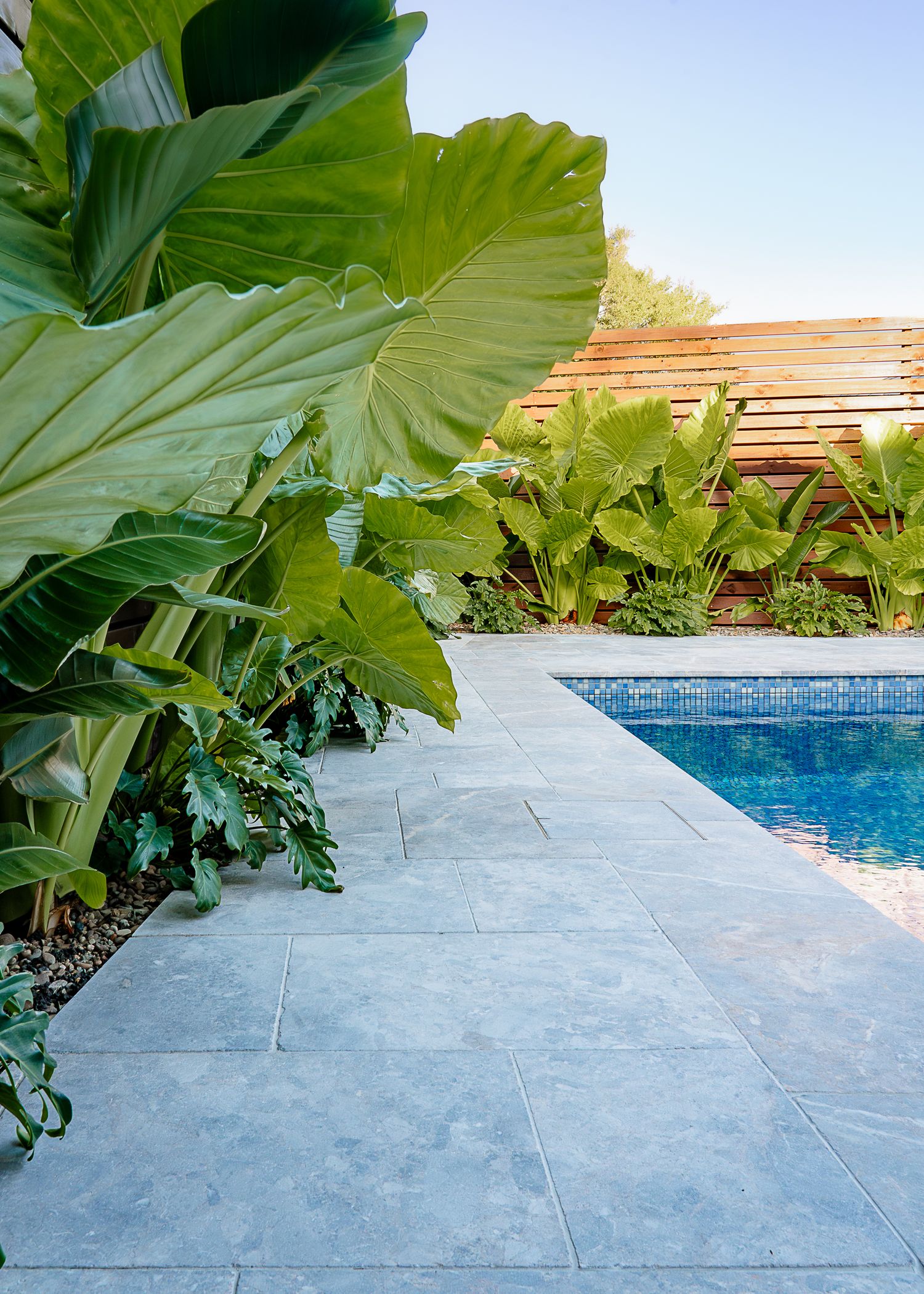Commercial Photographer, Commercial Photography, Sydney, Northern Beaches, Real Estate Photographer, Real Estate Photography