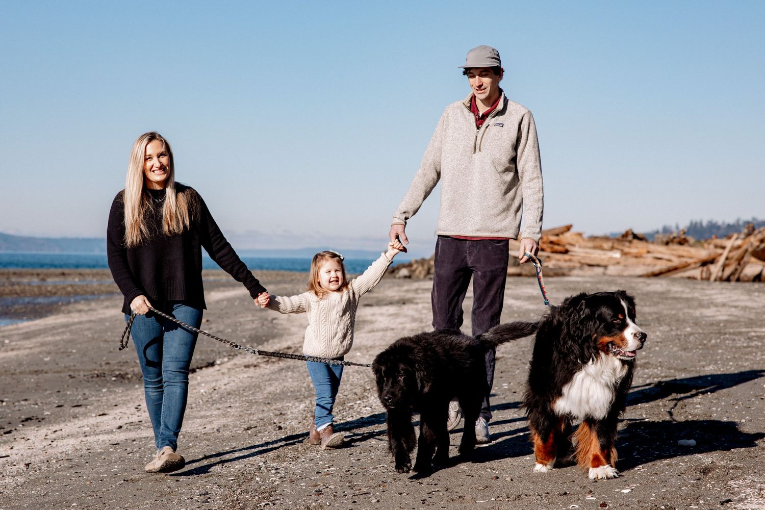 Family with toddler and two Bernese Mountain Dogs walking on a sunny beach near driftwood.