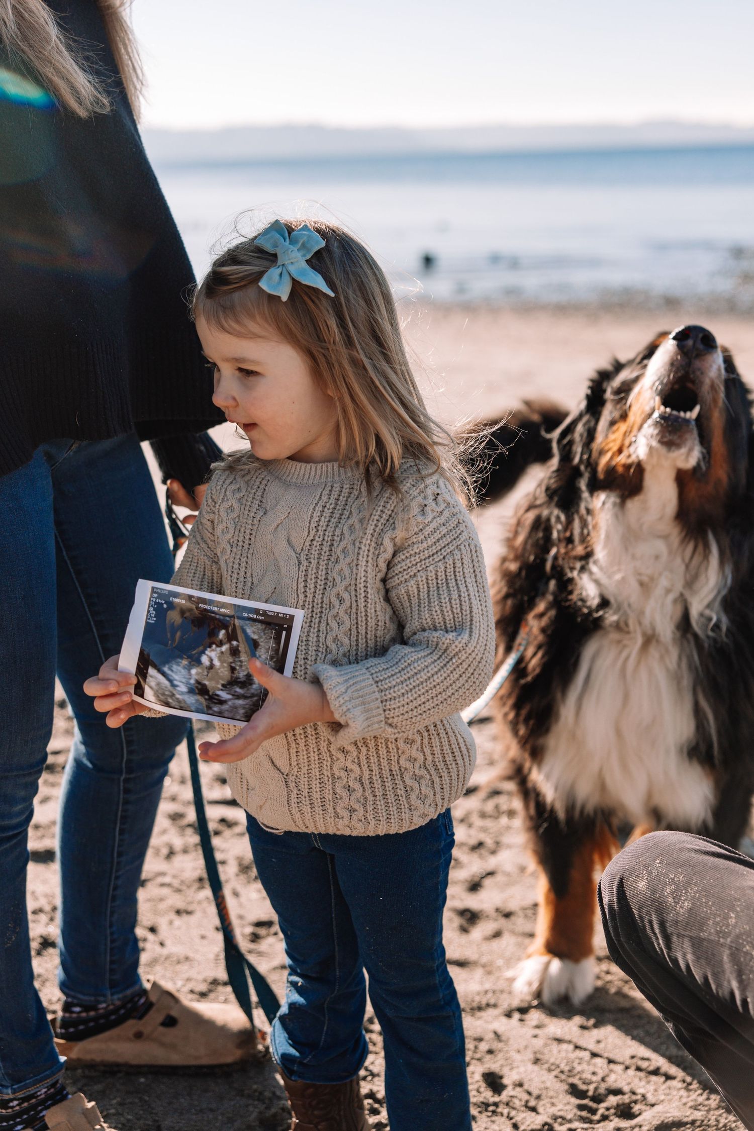 Young girl in knit sweater holds ultrasound photo beside Bernese Mountain Dog on sandy beach.