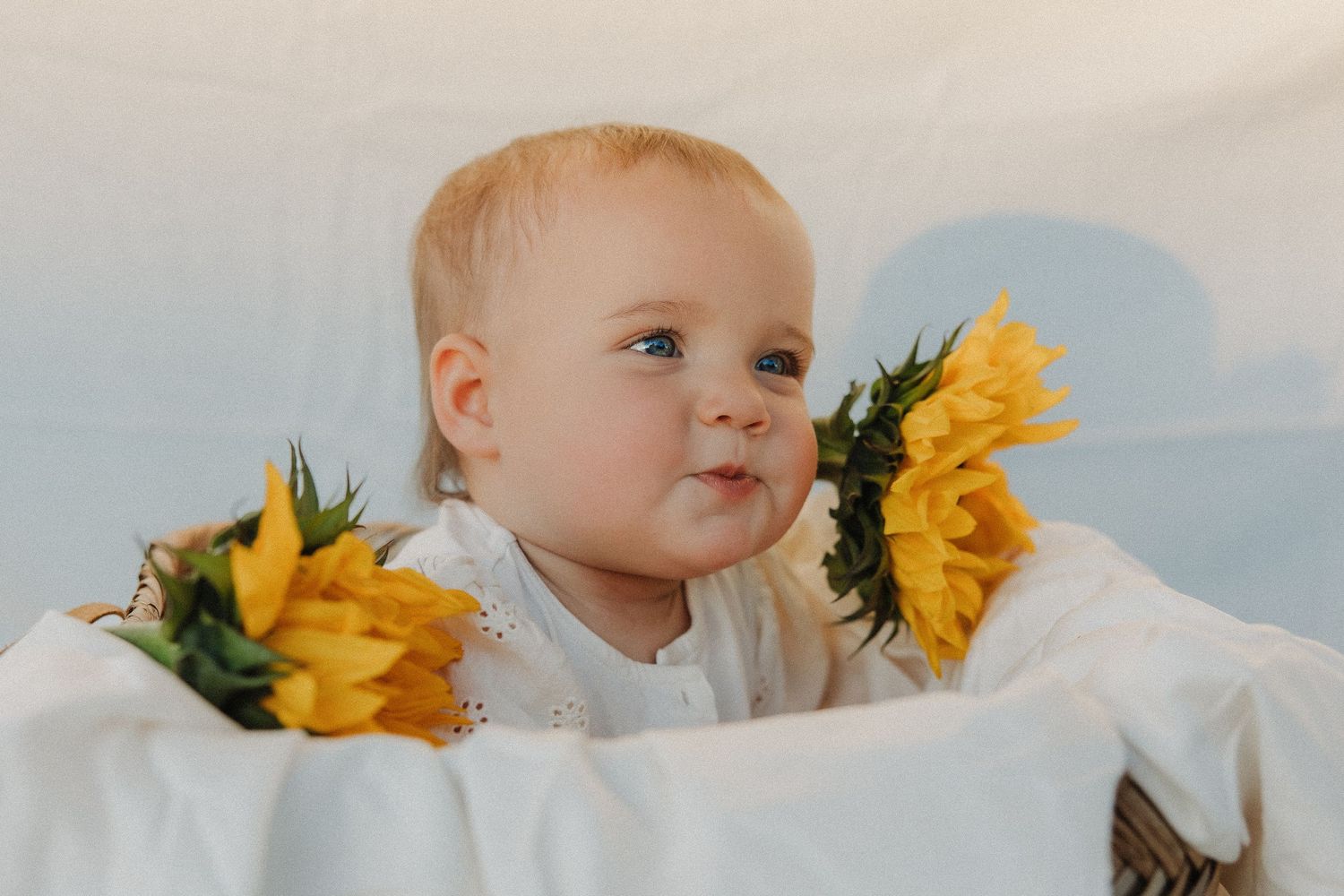 Adorable blonde baby sitting in a basket surrounded by bright yellow sunflowers.