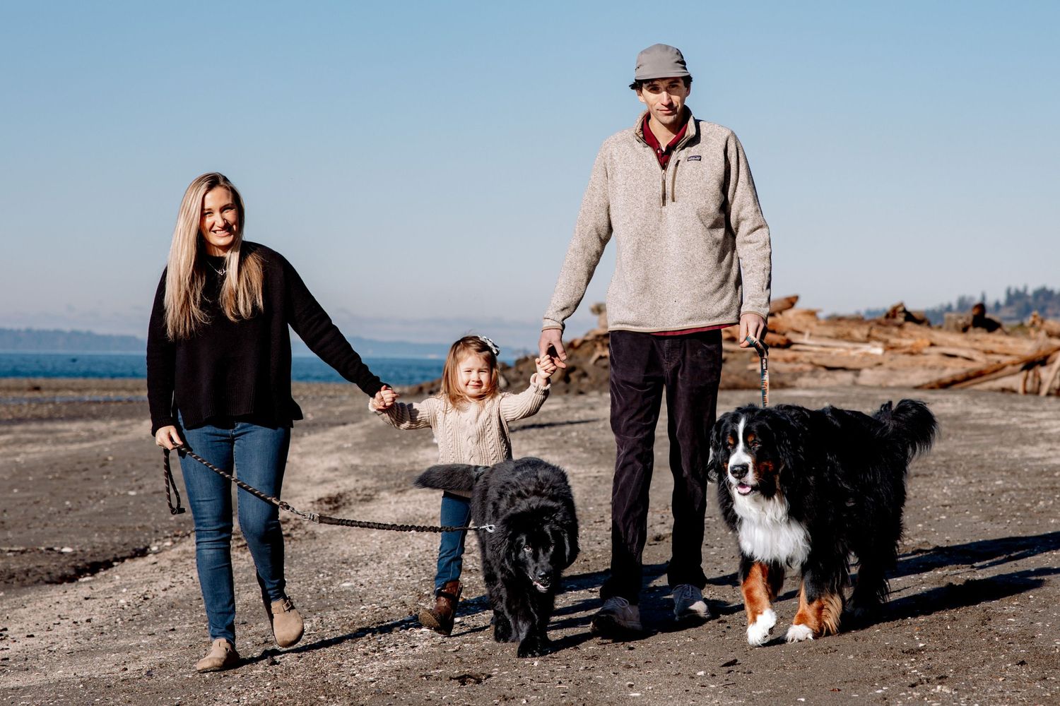 Family with toddler and two Bernese Mountain Dogs walks on sunny beach.