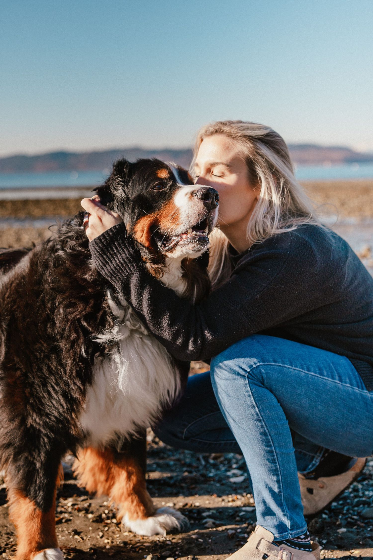 Woman kisses Bernese Mountain Dog on sunny rocky beach.