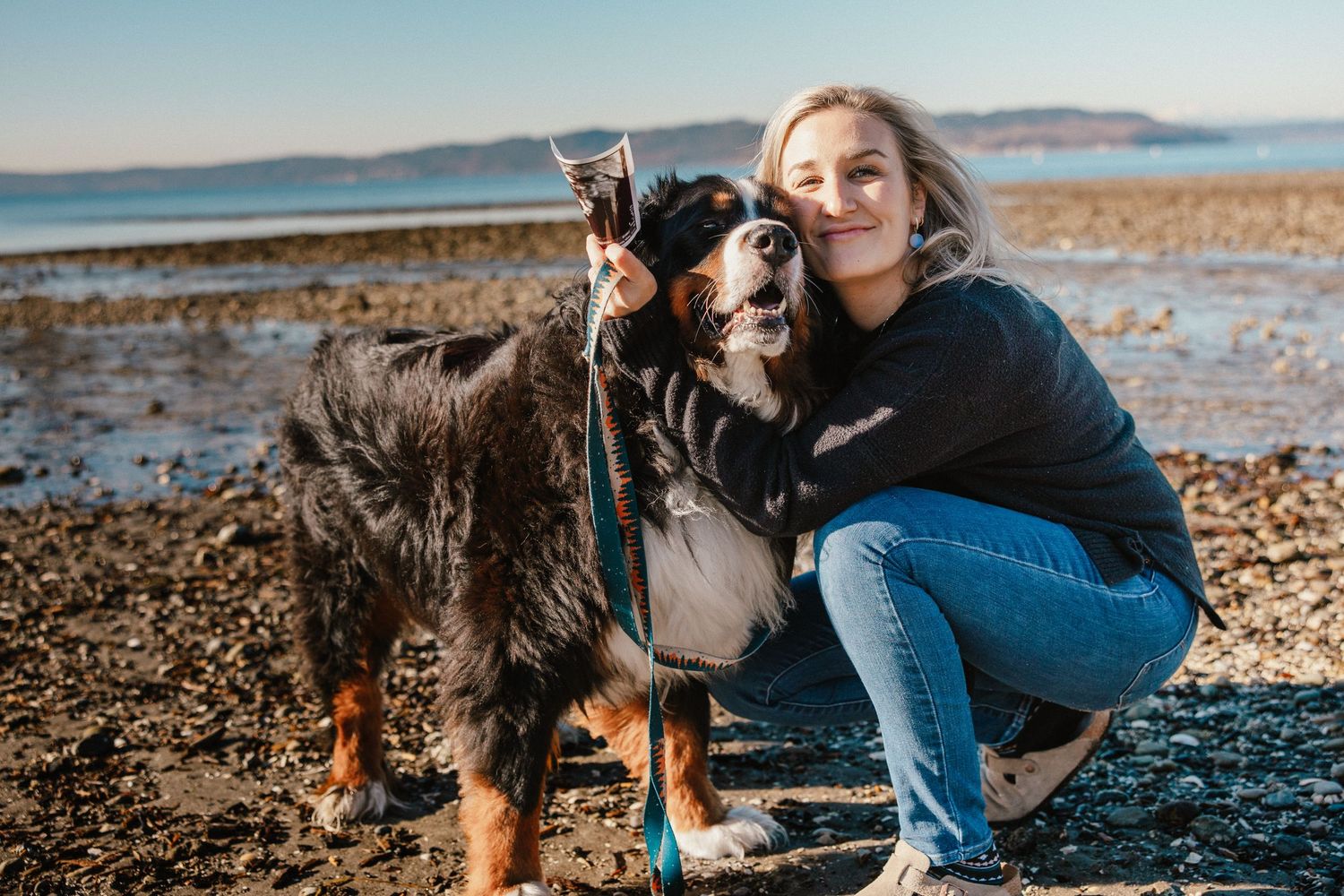 Woman crouching with a Bernese Mountain Dog on a rocky beach, sunny day with ocean in the background.