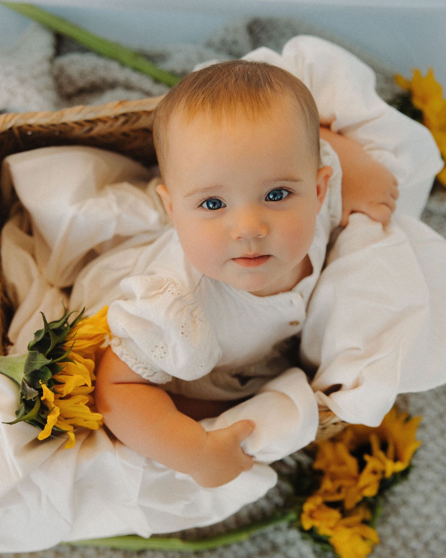 Sweet blue-eyed baby in white dress sitting in basket with sunflowers.
